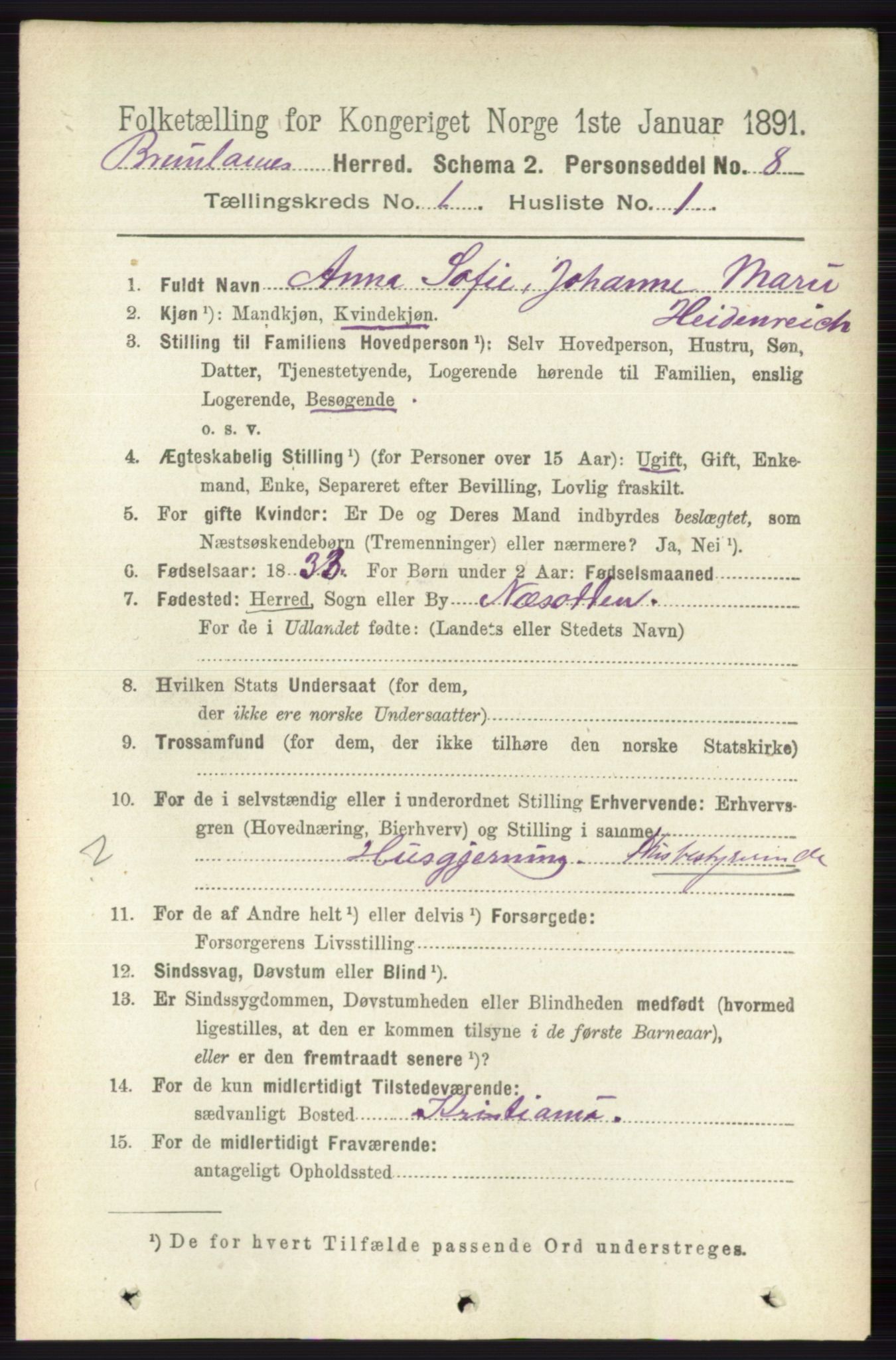 RA, 1891 census for 0726 Brunlanes, 1891, p. 132