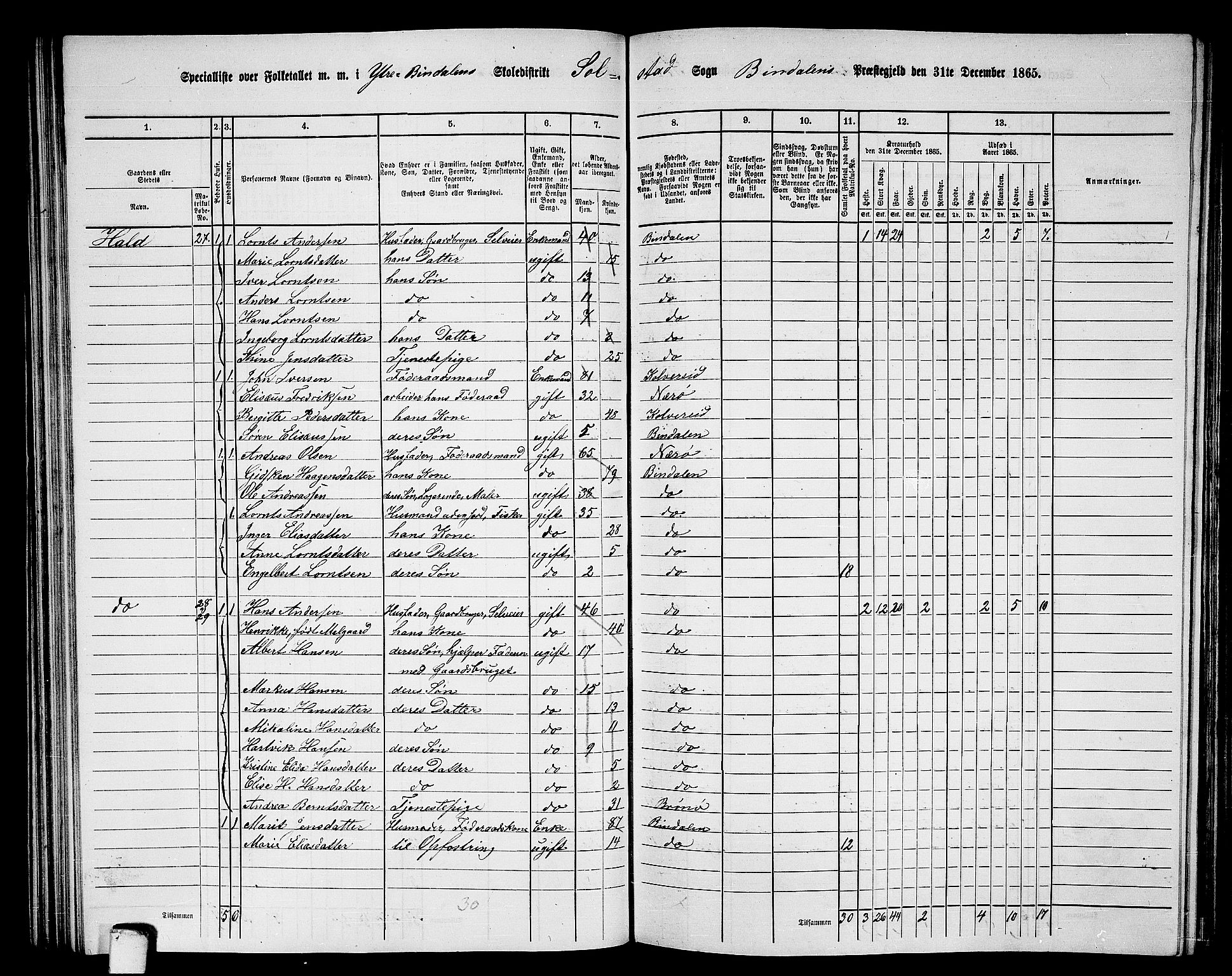 RA, 1865 census for Bindal, 1865, p. 52