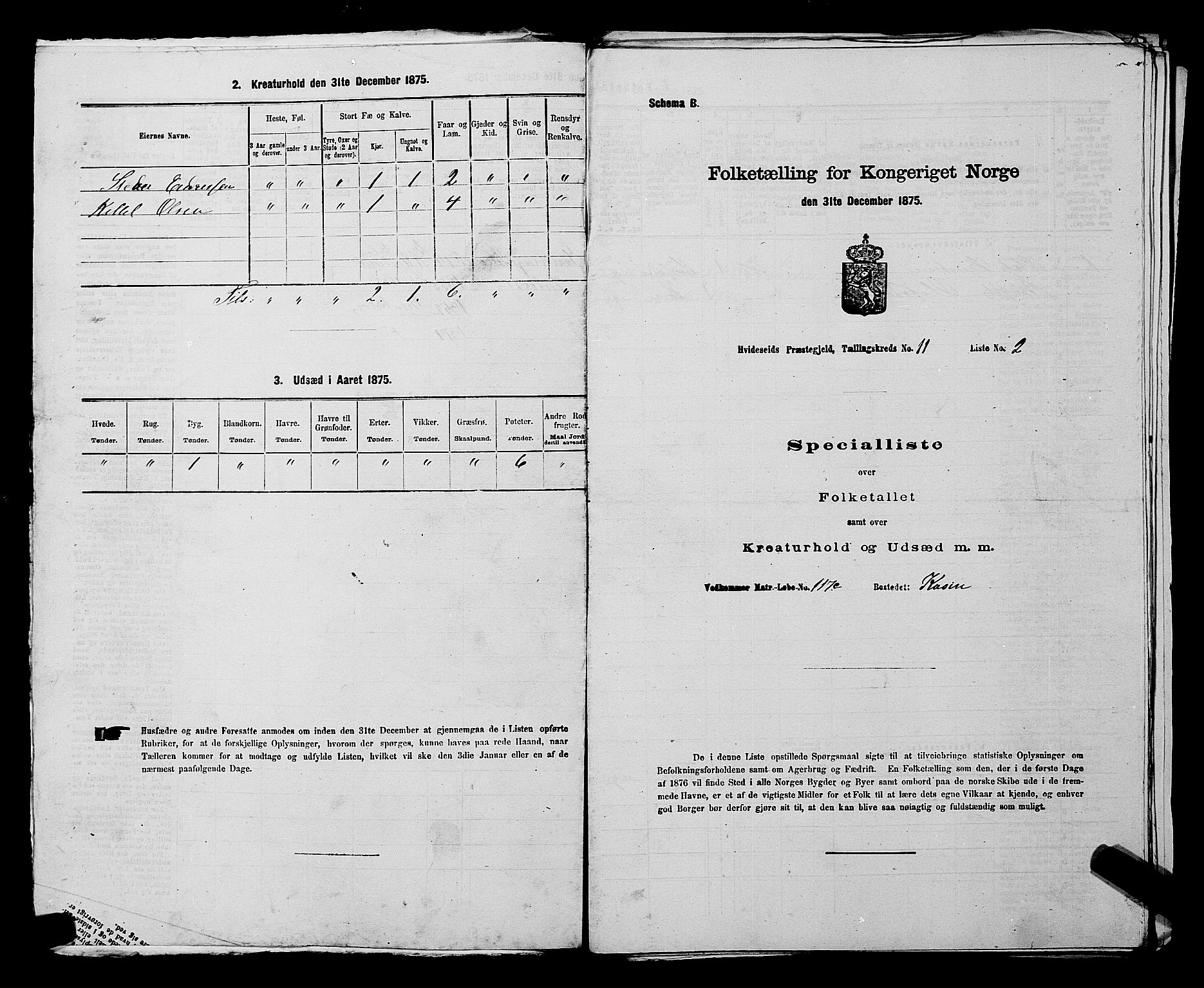 SAKO, 1875 census for 0829P Kviteseid, 1875, p. 888