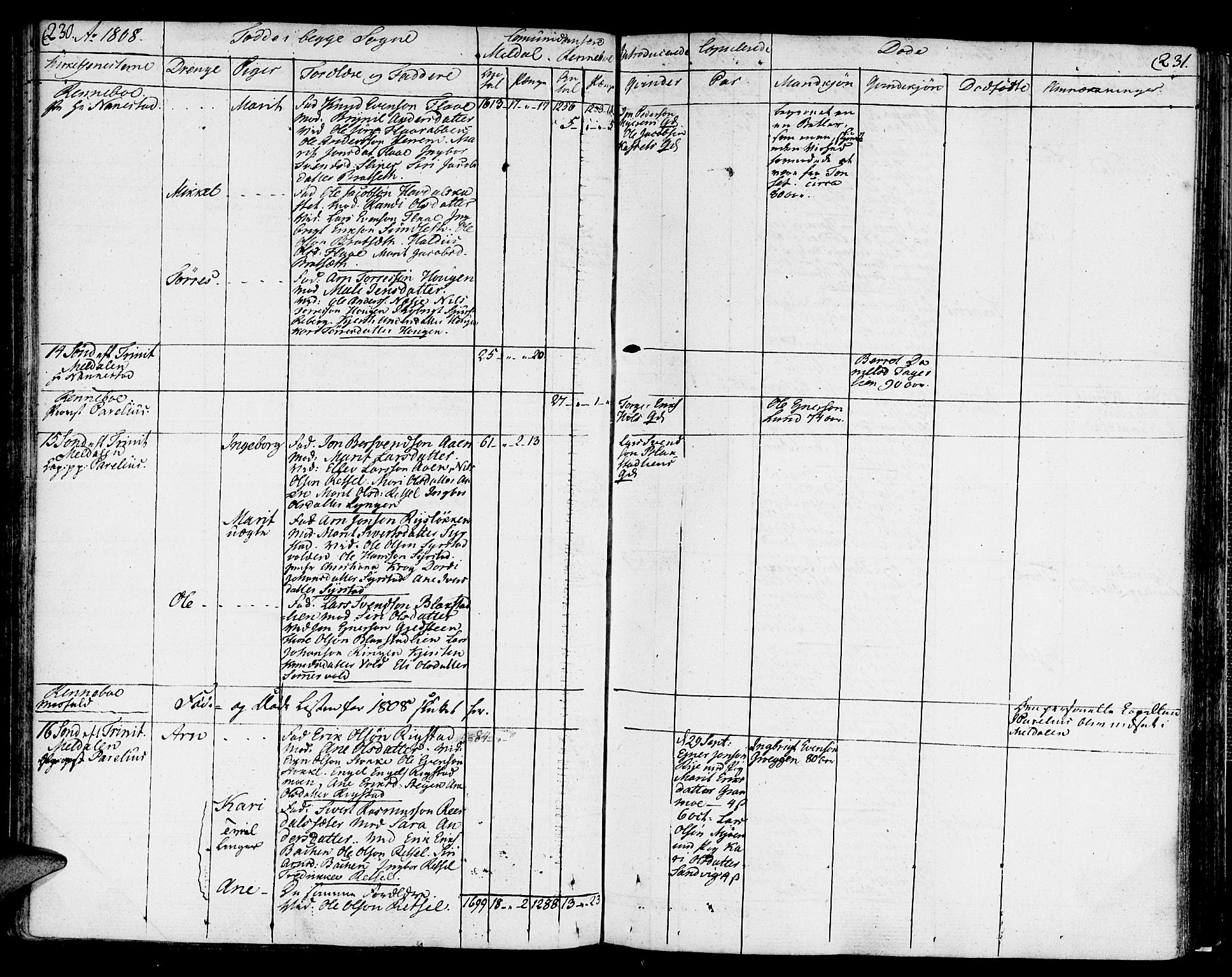 Ministerialprotokoller, klokkerbøker og fødselsregistre - Sør-Trøndelag, SAT/A-1456/672/L0852: Parish register (official) no. 672A05, 1776-1815, p. 230-231