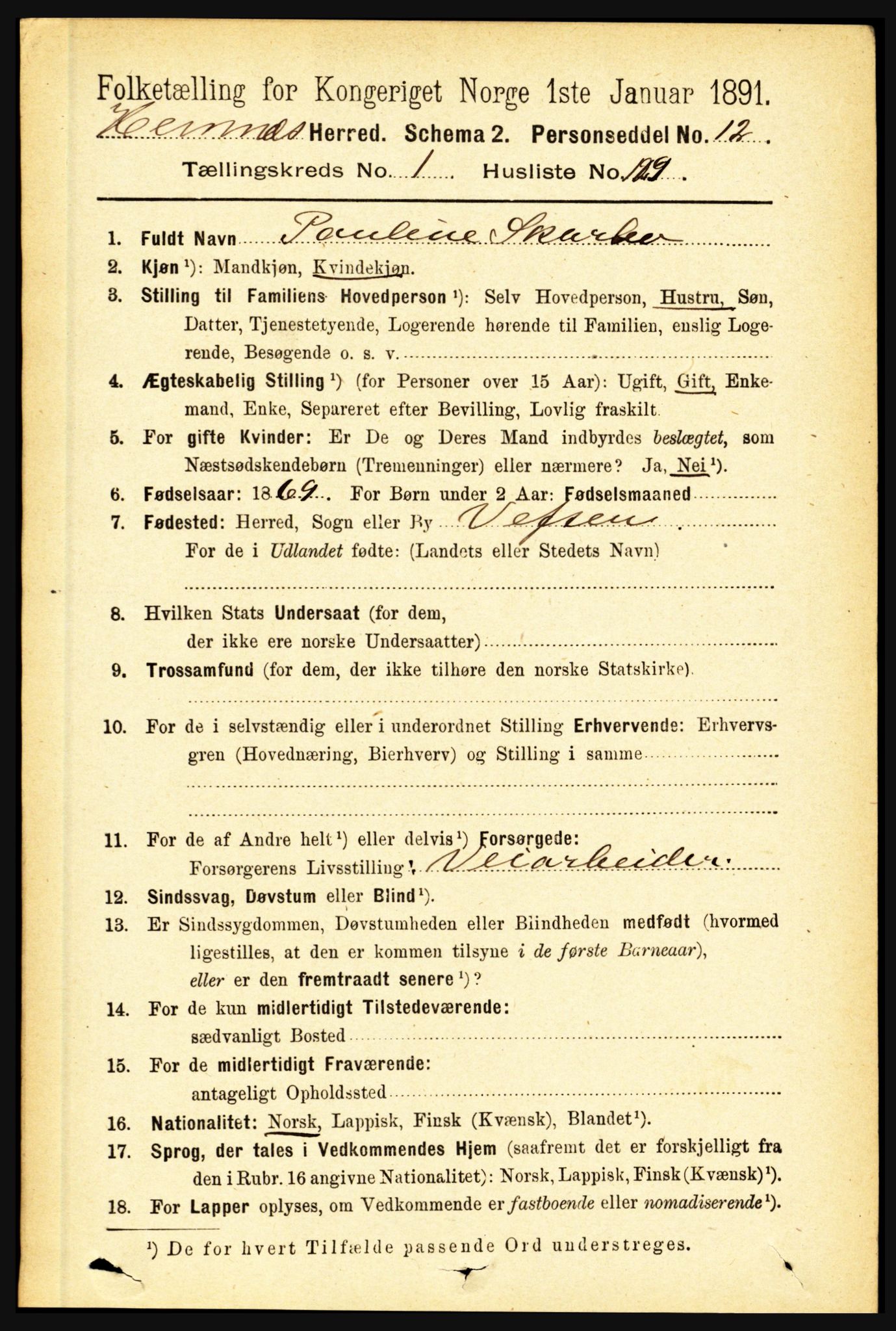 RA, 1891 census for 1832 Hemnes, 1891, p. 993