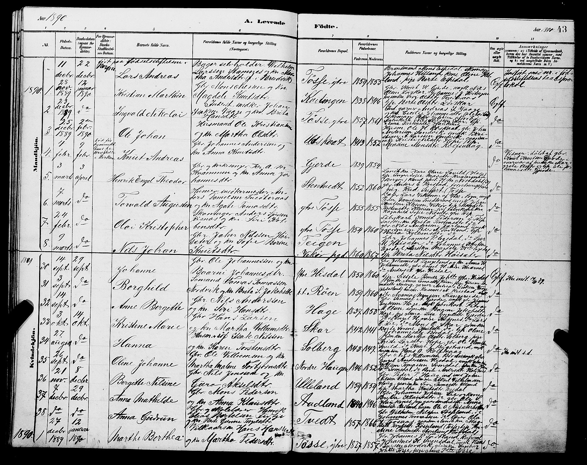 Samnanger Sokneprestembete, SAB/A-77501/H/Hab: Parish register (copy) no. A 2, 1879-1897, p. 43