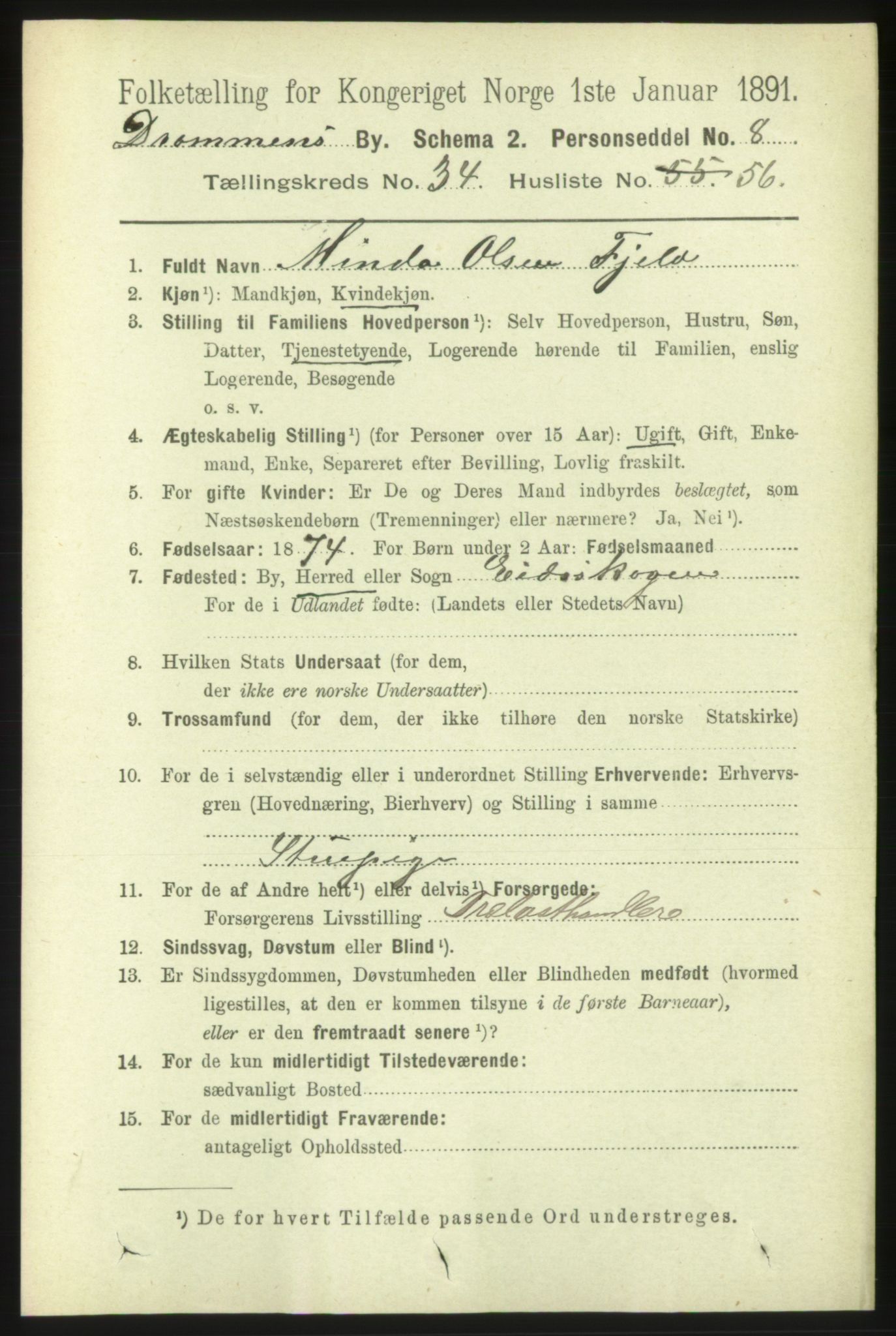 RA, 1891 census for 0602 Drammen, 1891, p. 21069