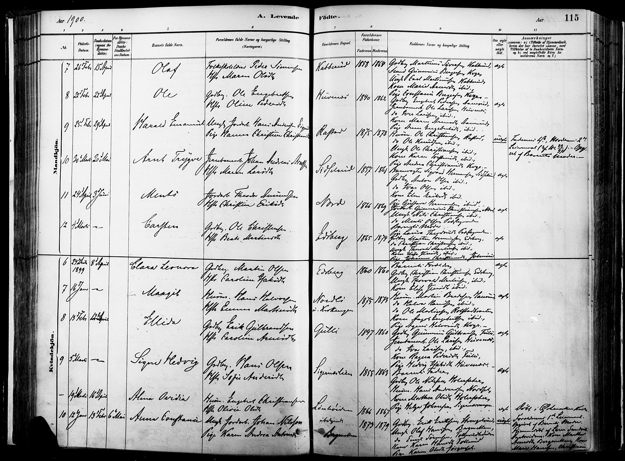 Vinger prestekontor, AV/SAH-PREST-024/H/Ha/Haa/L0014: Parish register (official) no. 14, 1881-1900, p. 115