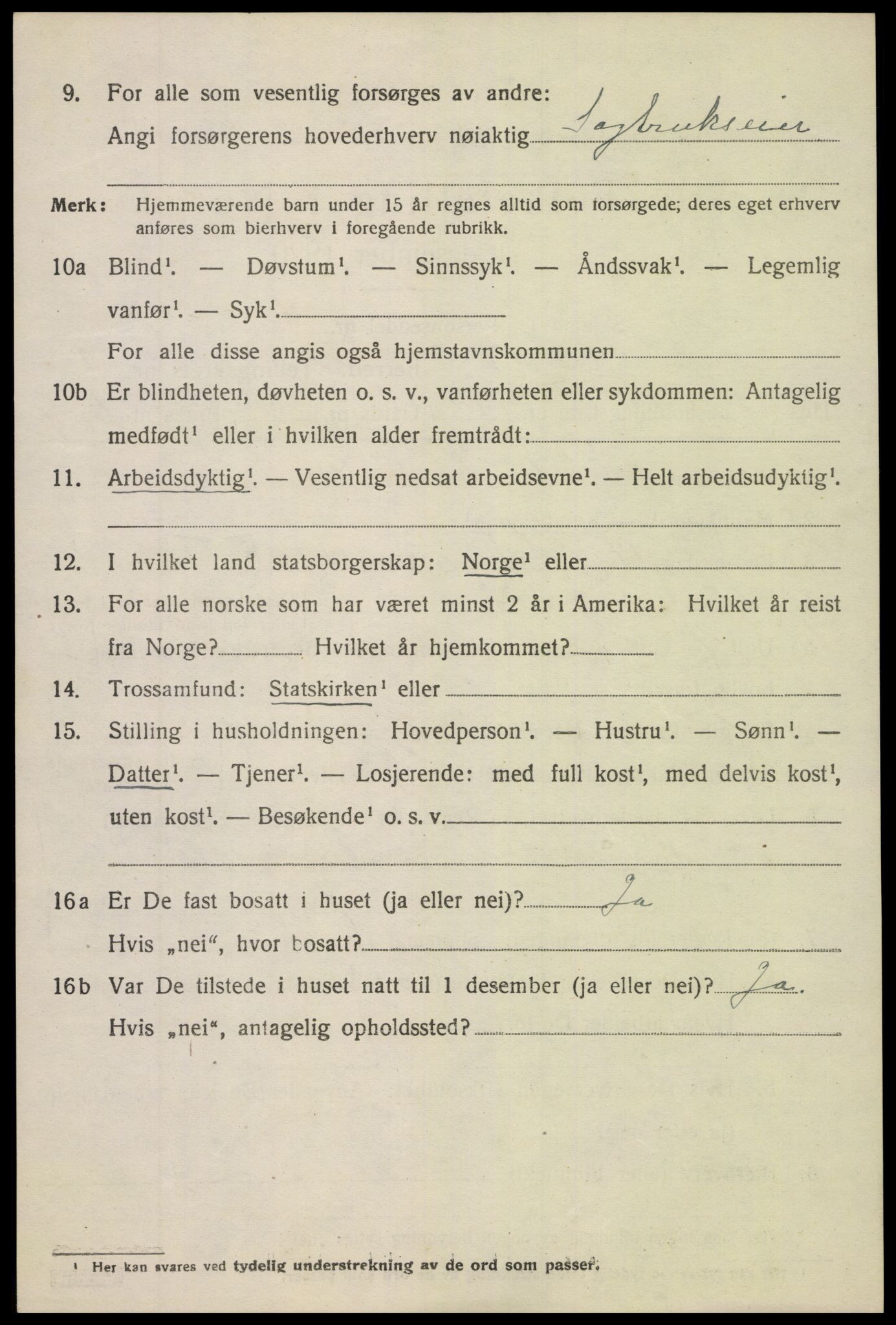 SAK, 1920 census for Holt, 1920, p. 5211