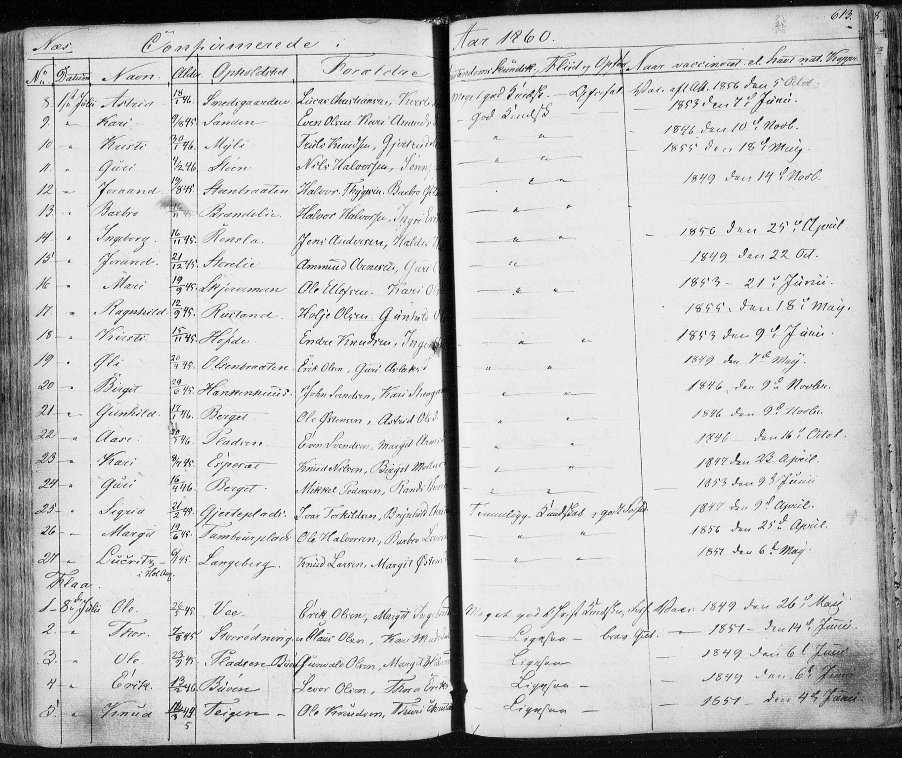 Nes kirkebøker, AV/SAKO-A-236/F/Fa/L0009: Parish register (official) no. 9, 1834-1863, p. 613