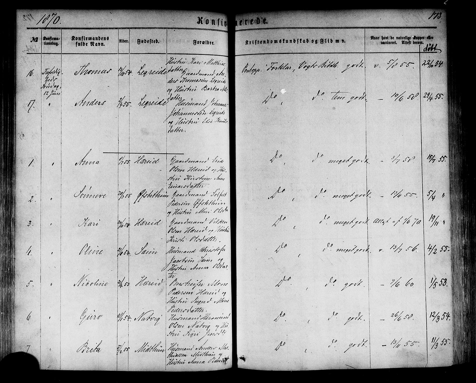 Årdal sokneprestembete, SAB/A-81701: Parish register (official) no. A 3, 1863-1886, p. 173