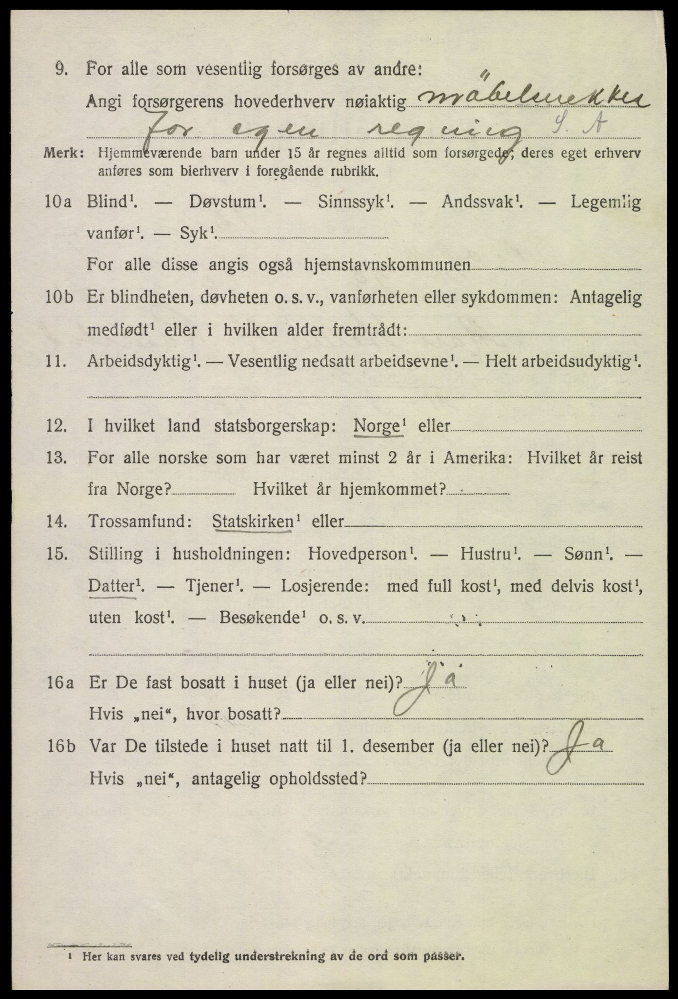 SAH, 1920 census for Skjåk, 1920, p. 3715