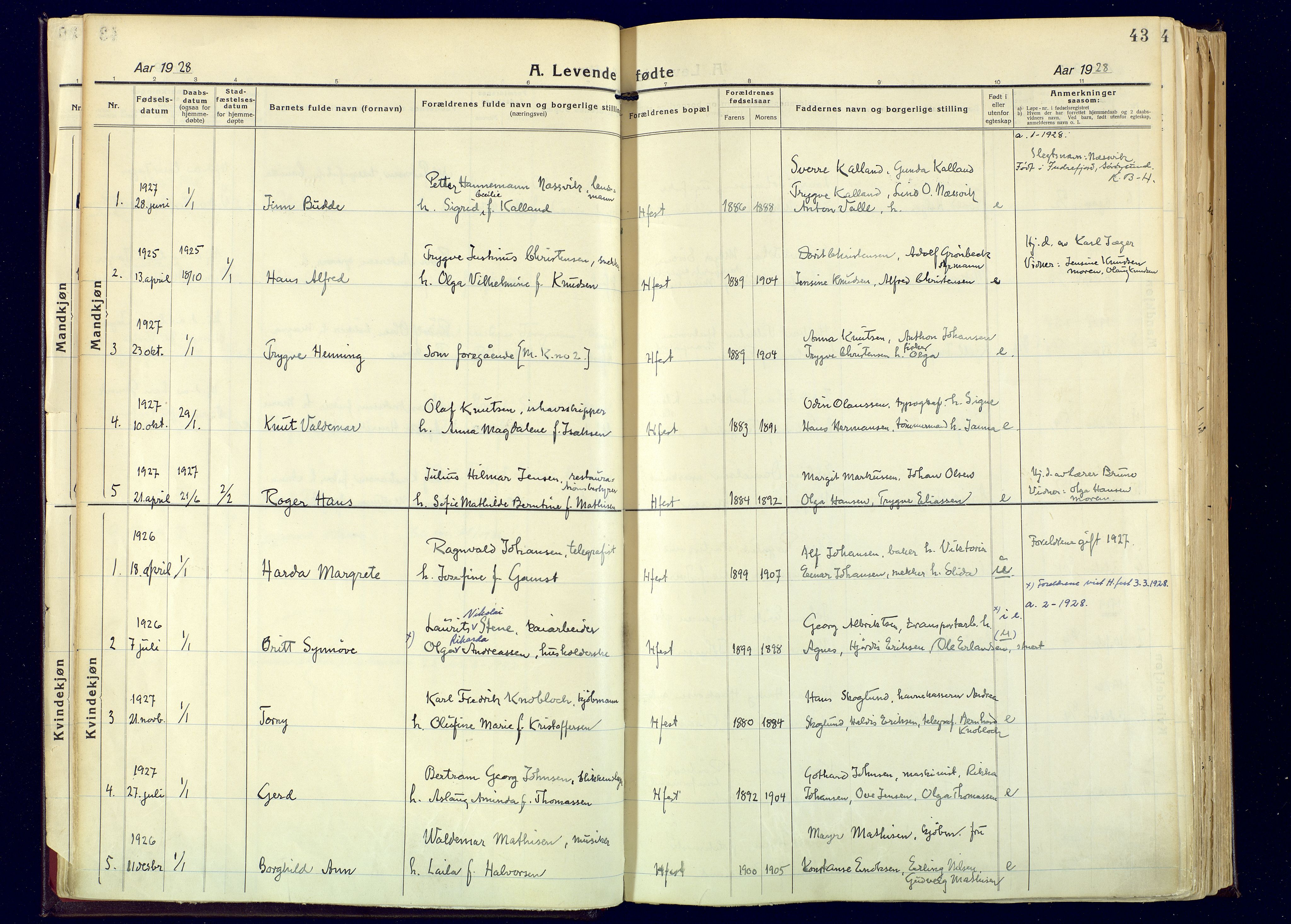 Hammerfest sokneprestkontor, AV/SATØ-S-1347/H/Ha/L0017.kirke: Parish register (official) no. 17, 1923-1933, p. 43