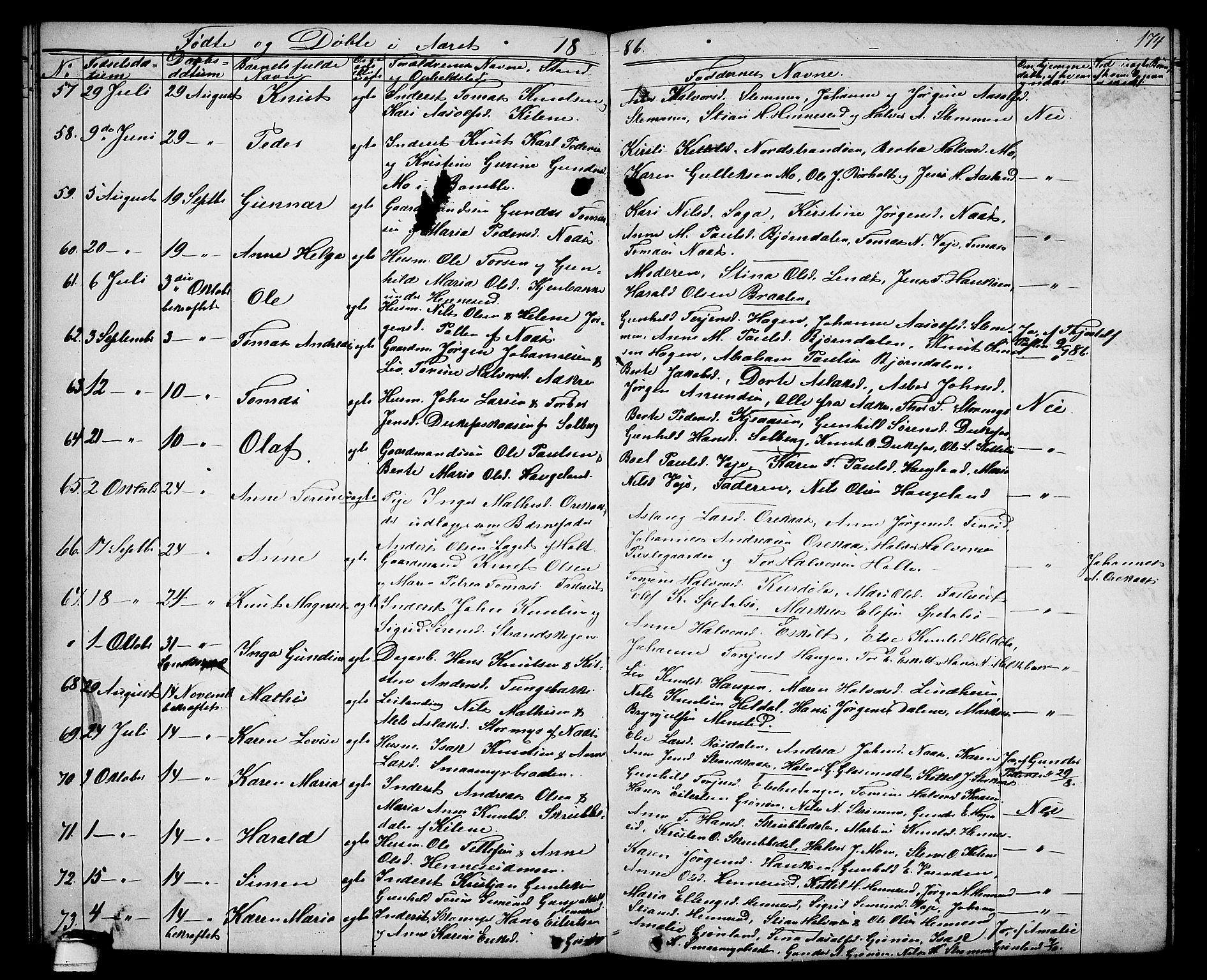 Drangedal kirkebøker, SAKO/A-258/G/Ga/L0002: Parish register (copy) no. I 2, 1856-1887, p. 174
