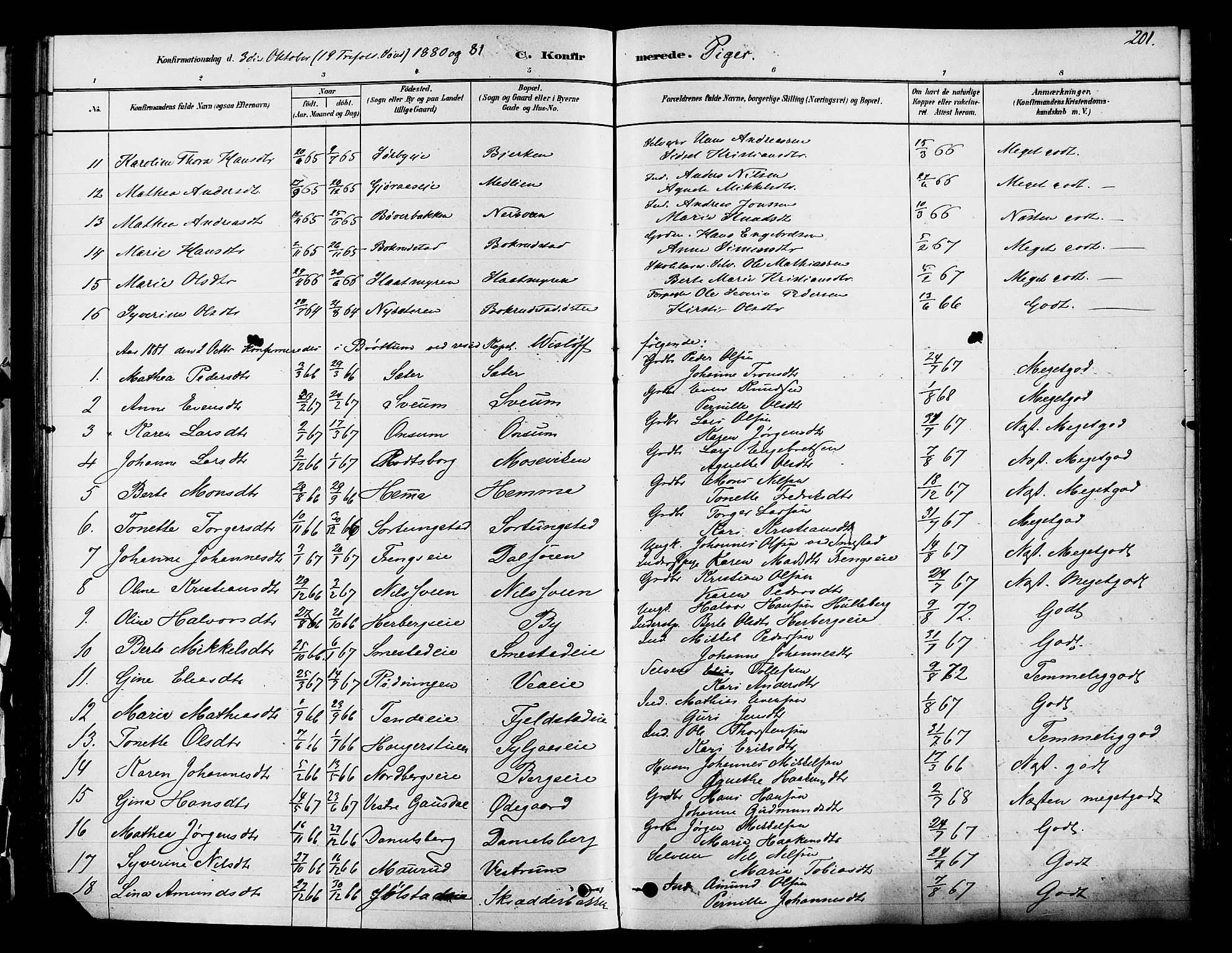Ringsaker prestekontor, SAH/PREST-014/K/Ka/L0012: Parish register (official) no. 12, 1879-1890, p. 201