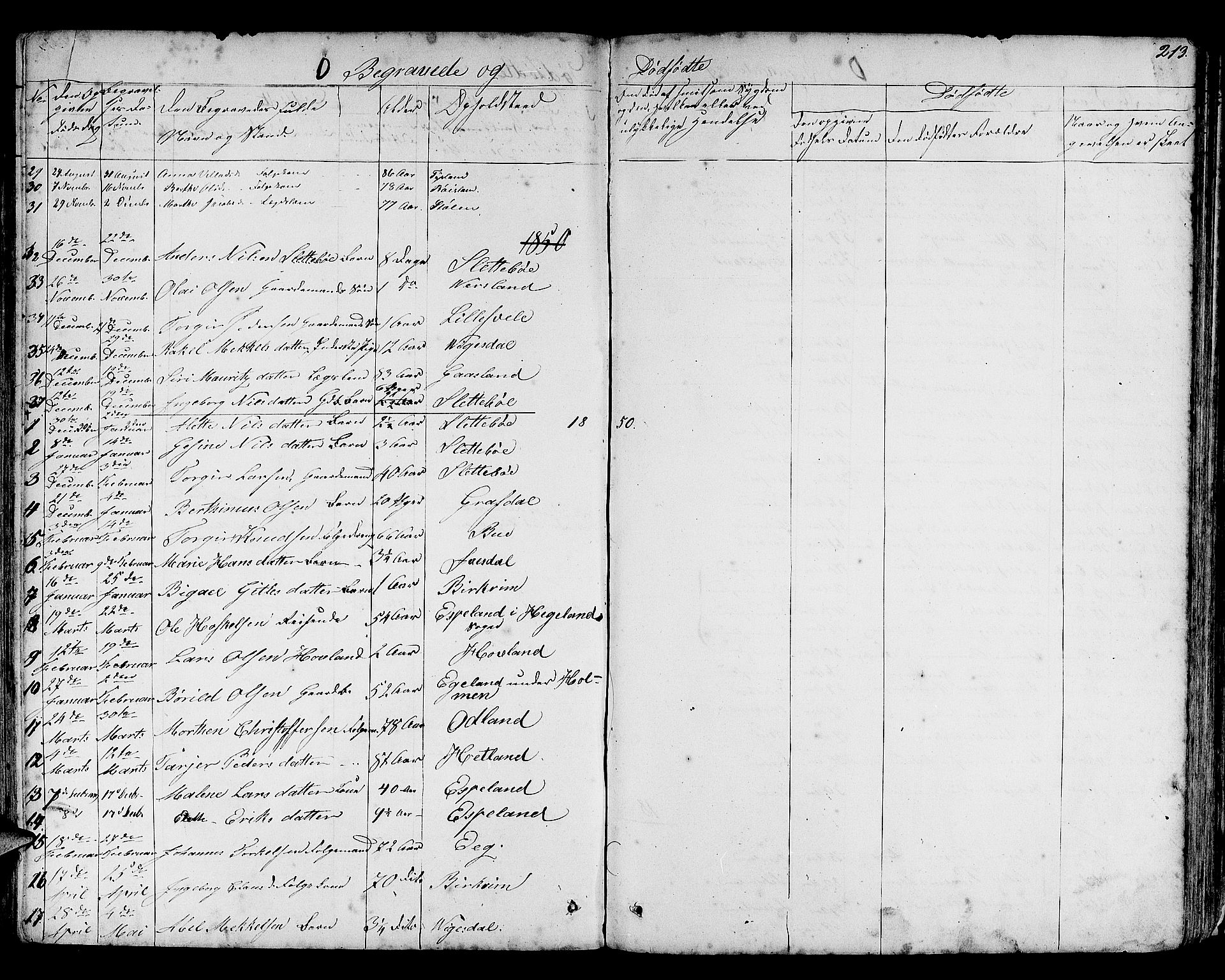 Helleland sokneprestkontor, SAST/A-101810: Parish register (copy) no. B 3, 1847-1886, p. 213