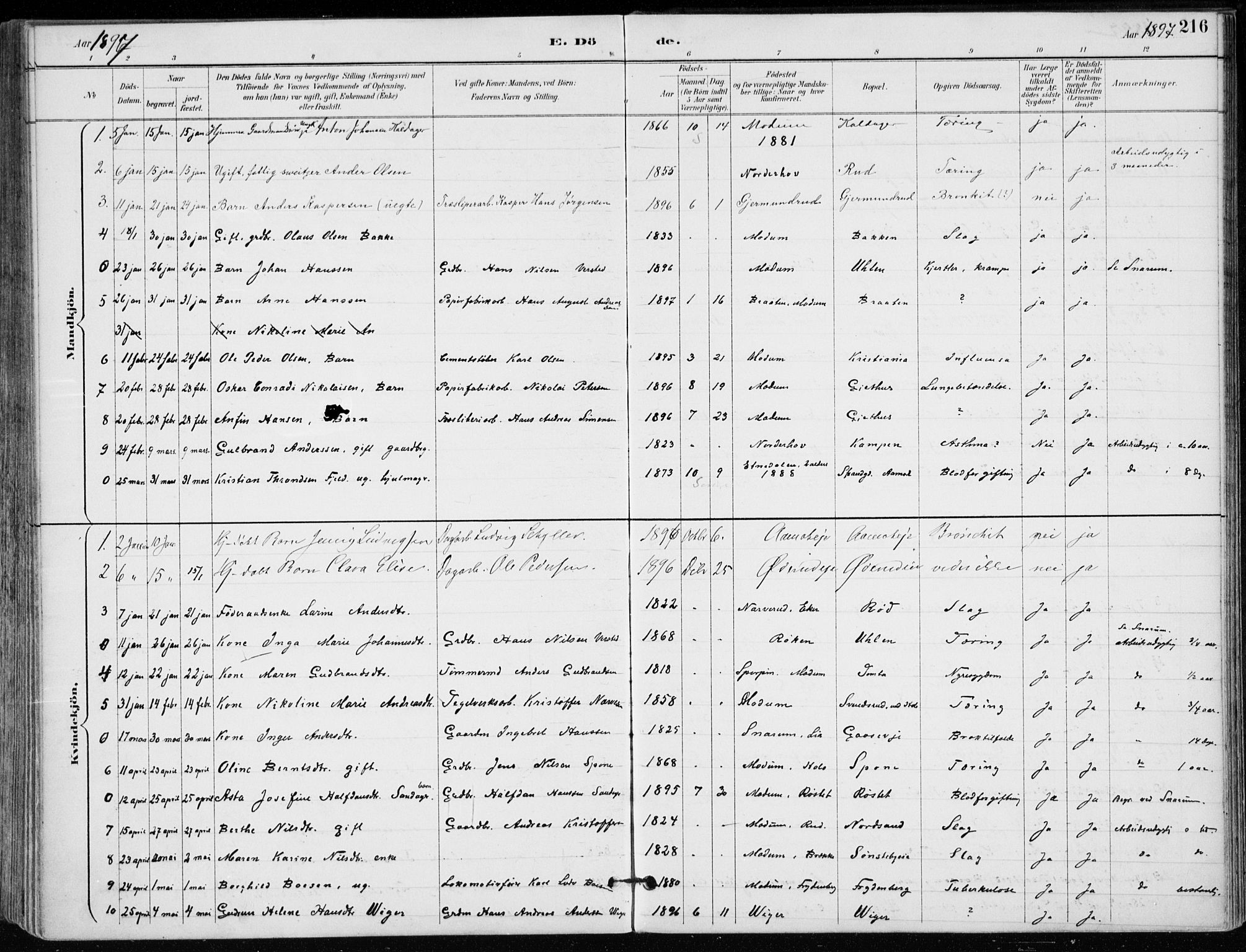 Modum kirkebøker, AV/SAKO-A-234/F/Fa/L0012: Parish register (official) no. 12, 1890-1898, p. 216
