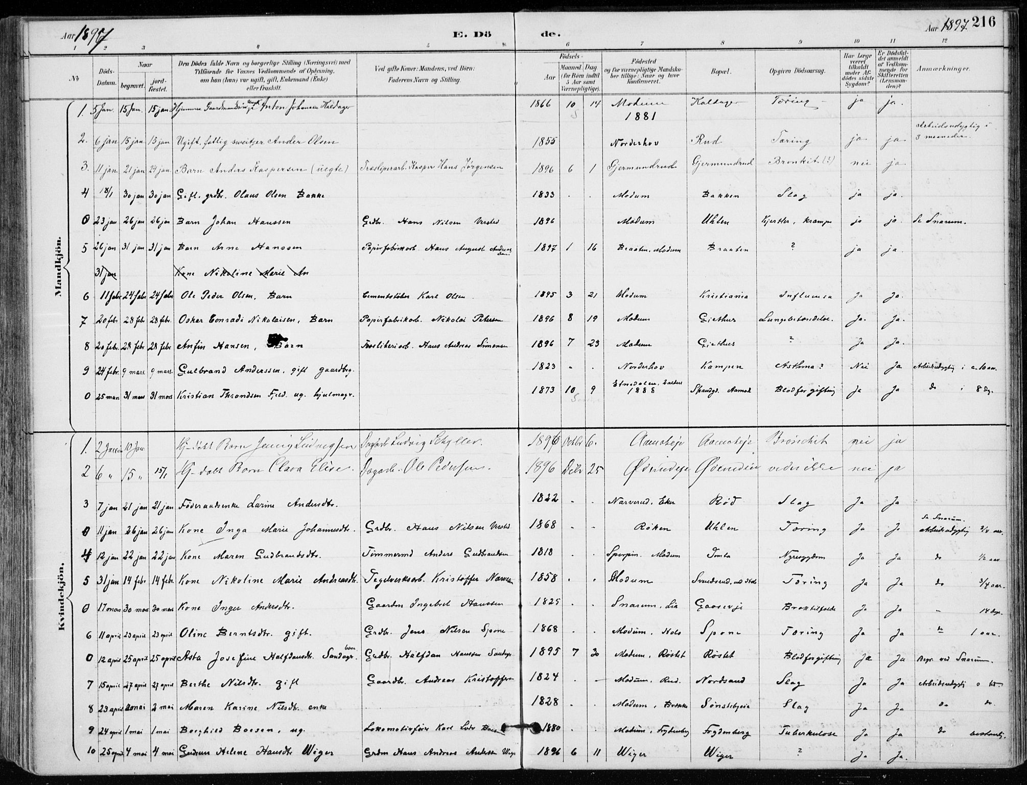 Modum kirkebøker, AV/SAKO-A-234/F/Fa/L0012: Parish register (official) no. 12, 1890-1898, p. 216