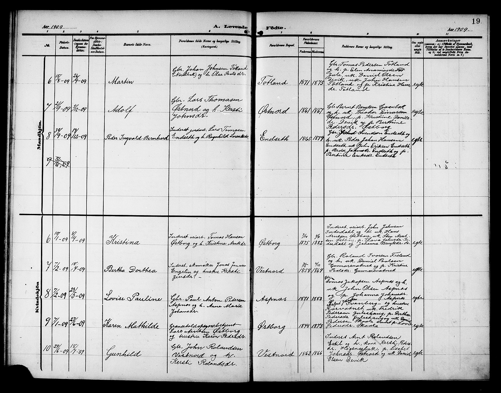 Ministerialprotokoller, klokkerbøker og fødselsregistre - Nord-Trøndelag, SAT/A-1458/757/L0506: Parish register (copy) no. 757C01, 1904-1922, p. 19