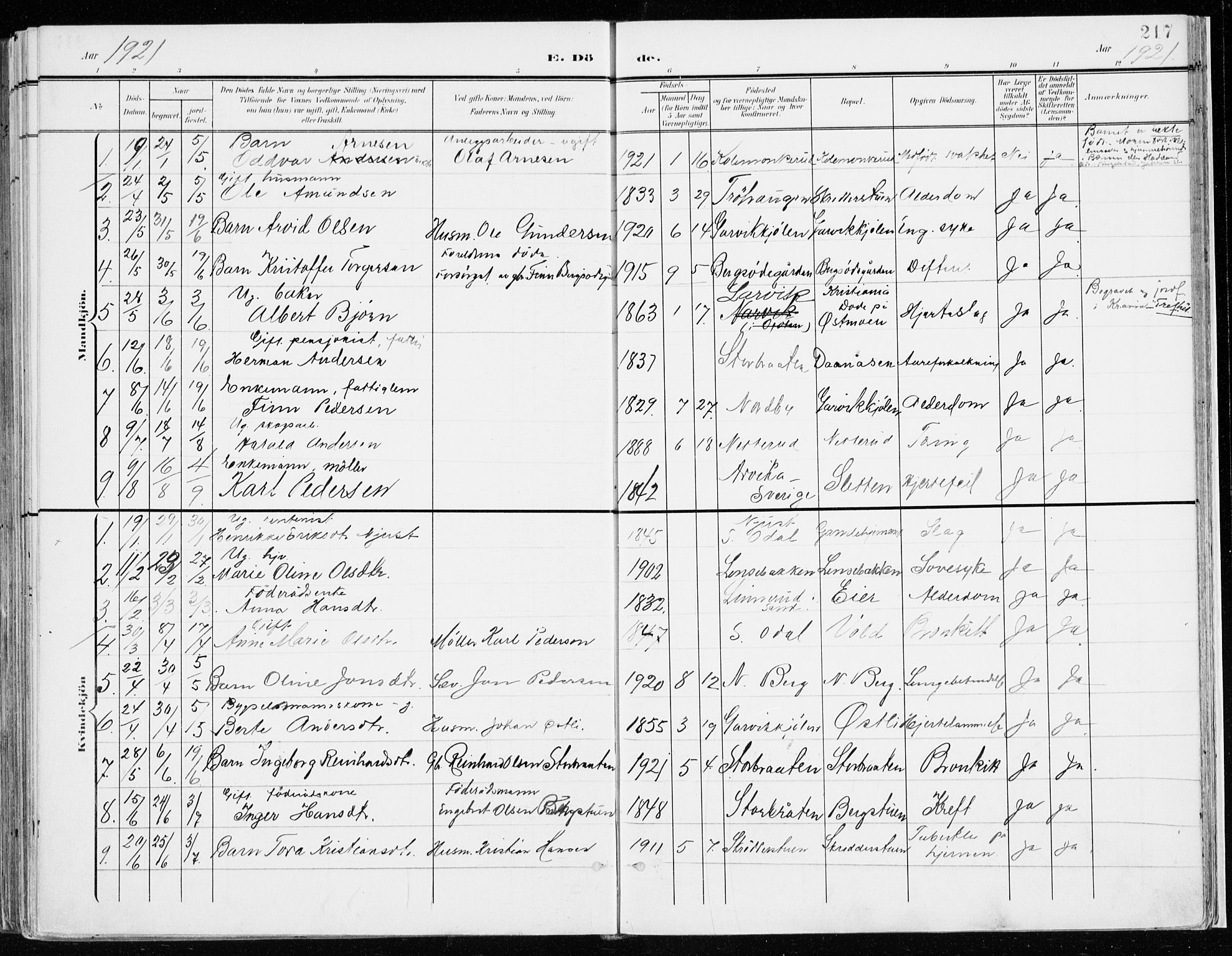 Nord-Odal prestekontor, SAH/PREST-032/H/Ha/Haa/L0009: Parish register (official) no. 9, 1902-1926, p. 217