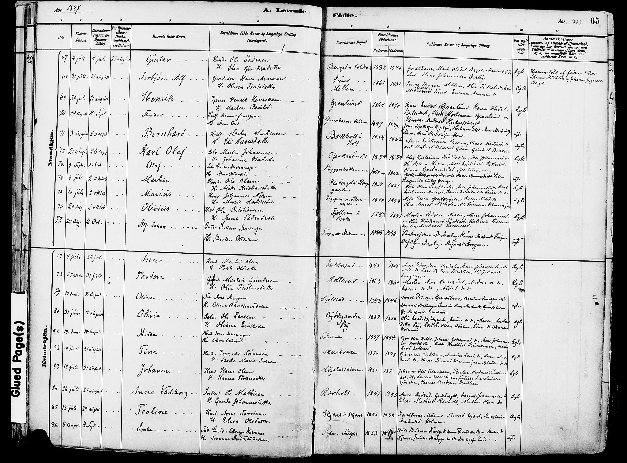 Grue prestekontor, AV/SAH-PREST-036/H/Ha/Haa/L0012: Parish register (official) no. 12, 1881-1897, p. 65