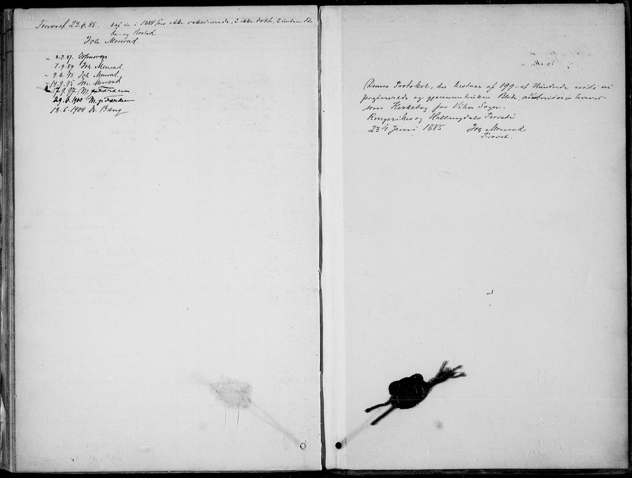 Ådal kirkebøker, AV/SAKO-A-248/F/Fa/L0003: Parish register (official) no. I 3, 1884-1903