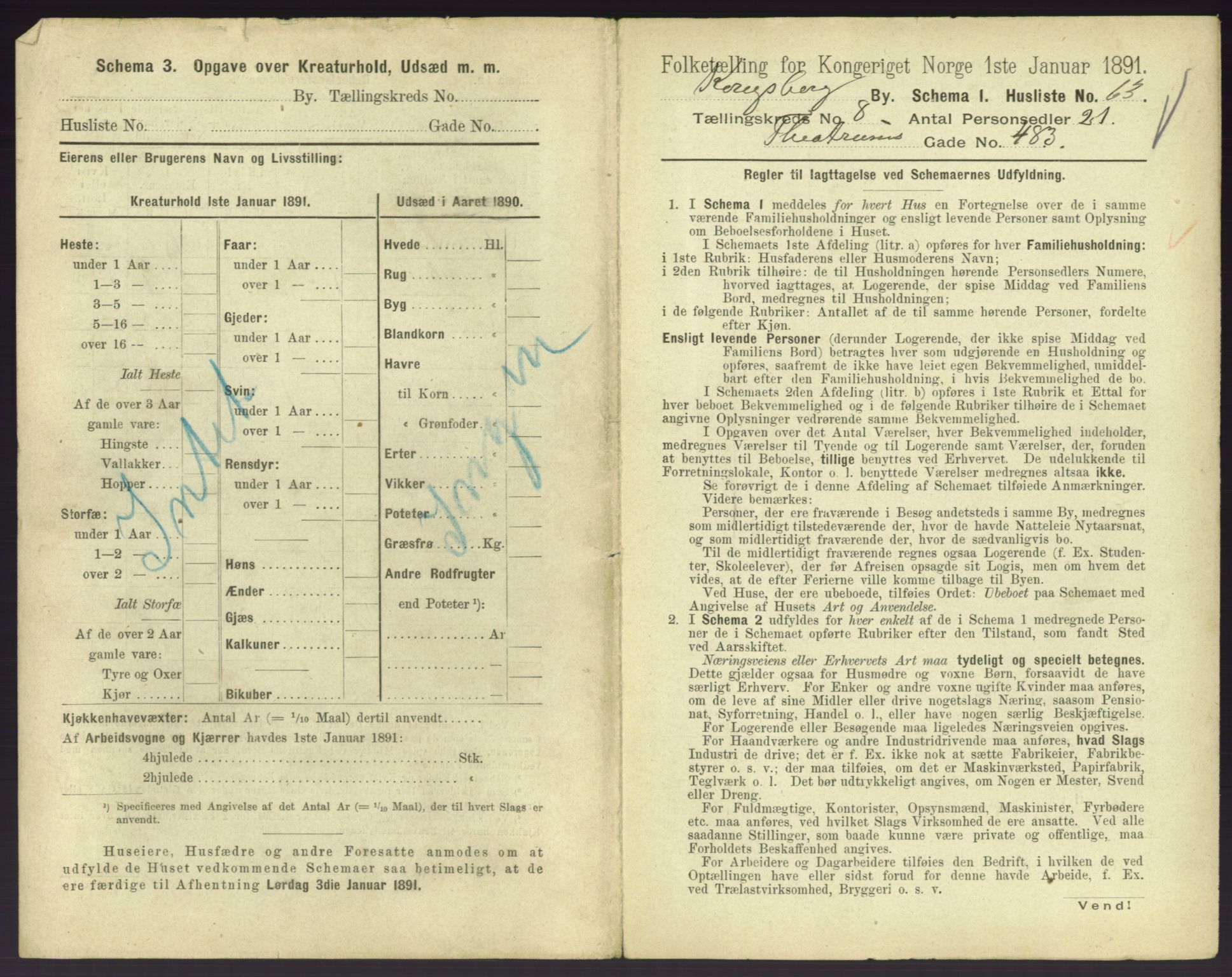 RA, 1891 census for 0604 Kongsberg, 1891, p. 1217