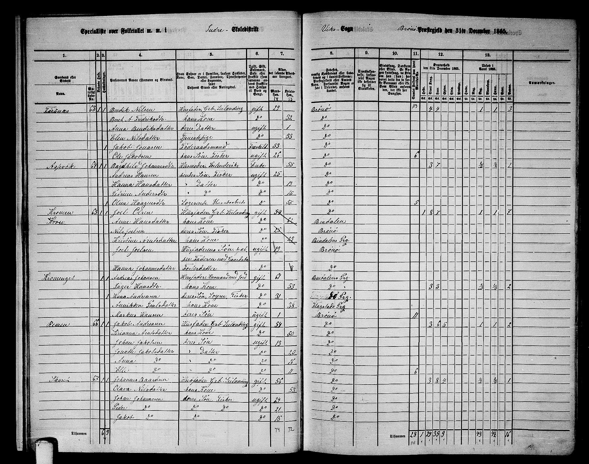 RA, 1865 census for Brønnøy, 1865, p. 17