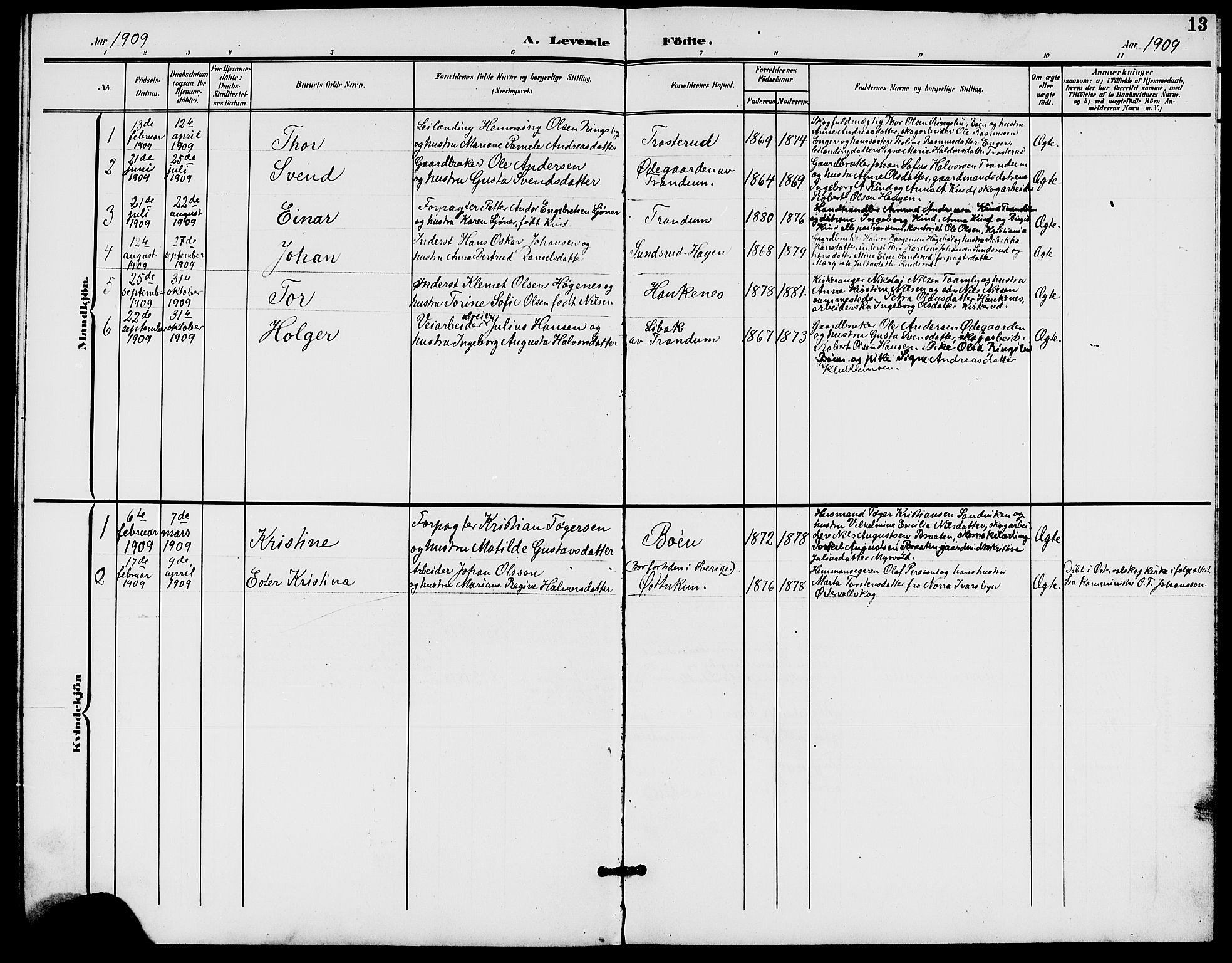 Rødenes prestekontor Kirkebøker, AV/SAO-A-2005/G/Gb/L0001: Parish register (copy) no. II 1, 1901-1910, p. 13