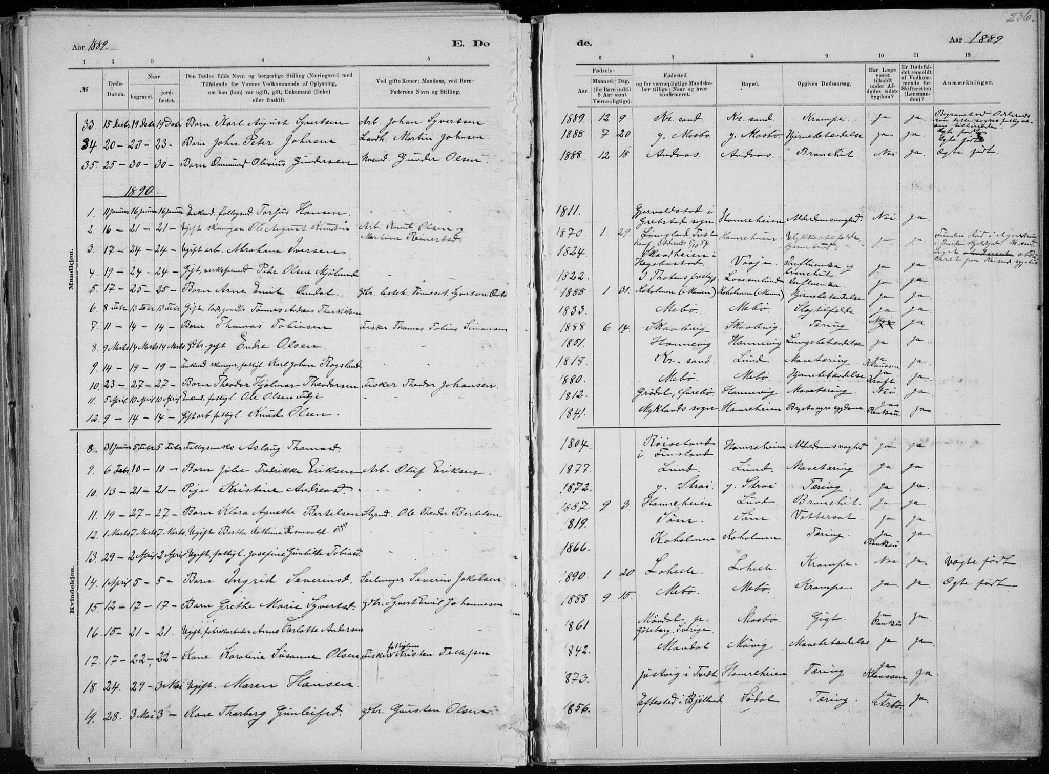 Oddernes sokneprestkontor, AV/SAK-1111-0033/F/Fa/Faa/L0009: Parish register (official) no. A 9, 1884-1896, p. 236