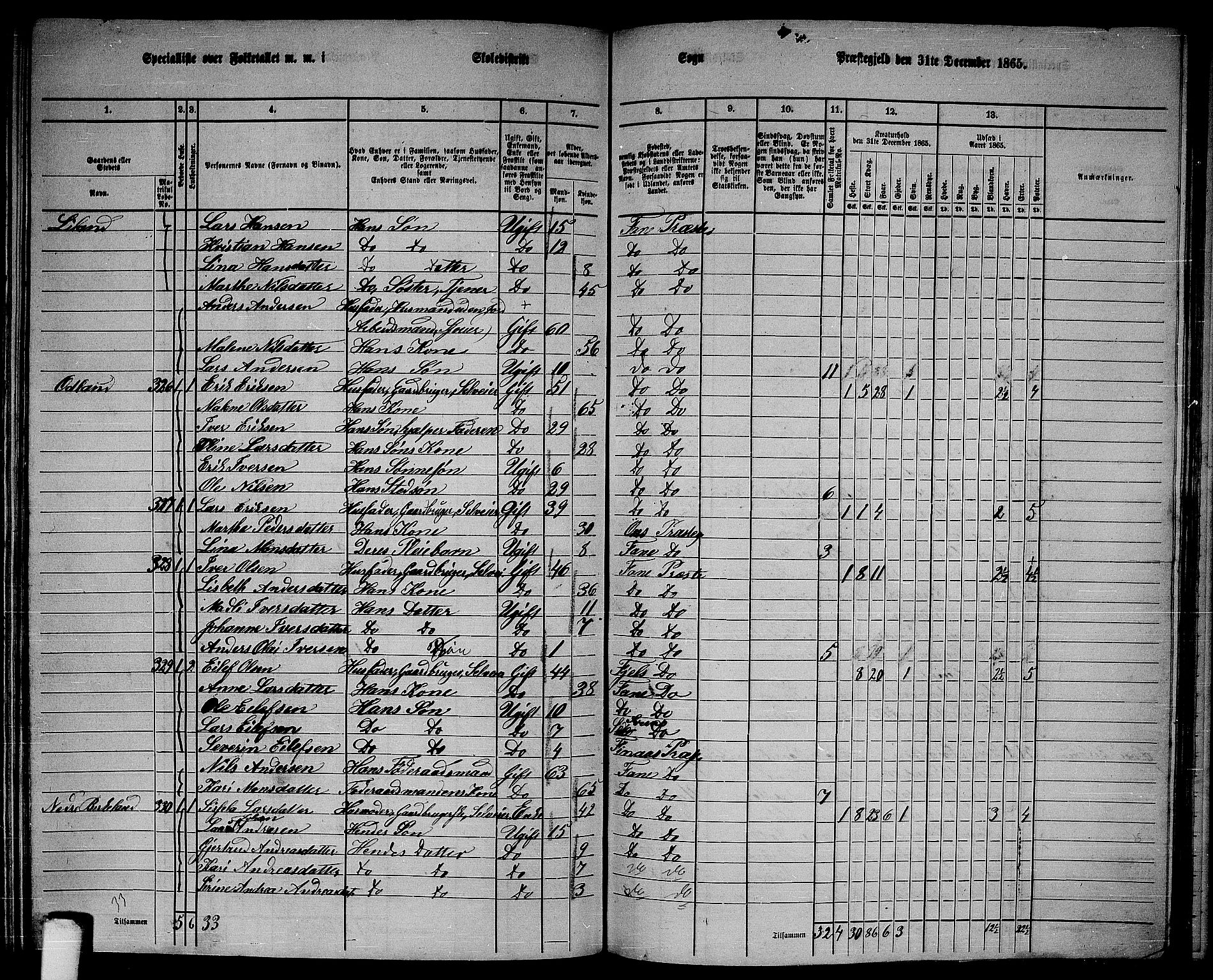 RA, 1865 census for Fana, 1865, p. 142