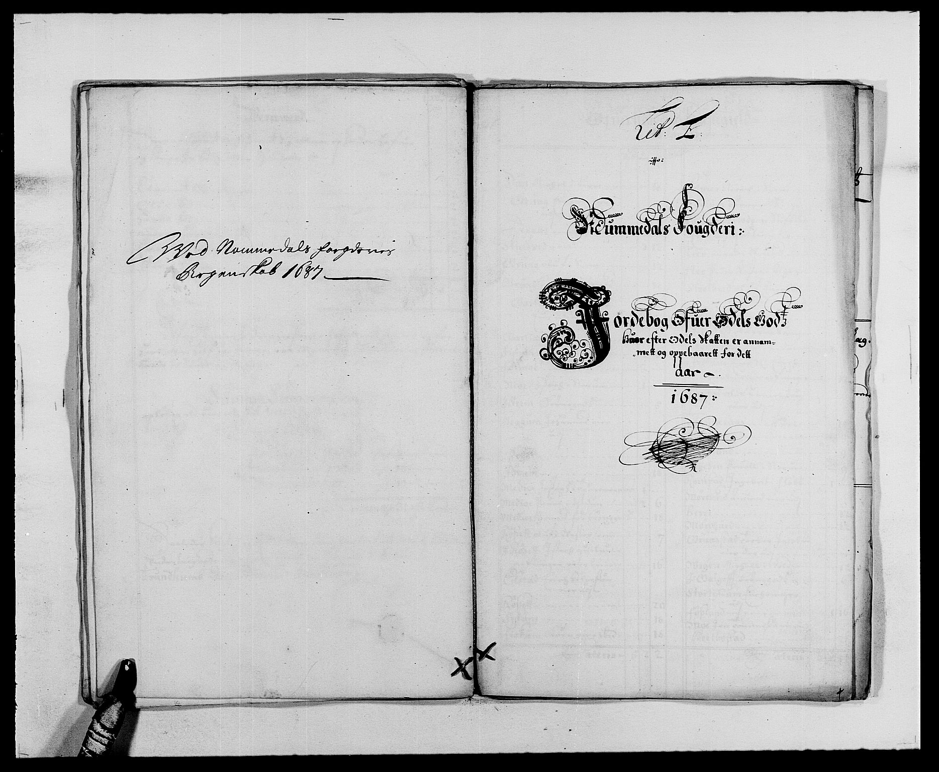 Rentekammeret inntil 1814, Reviderte regnskaper, Fogderegnskap, RA/EA-4092/R64/L4422: Fogderegnskap Namdal, 1687-1689, p. 21