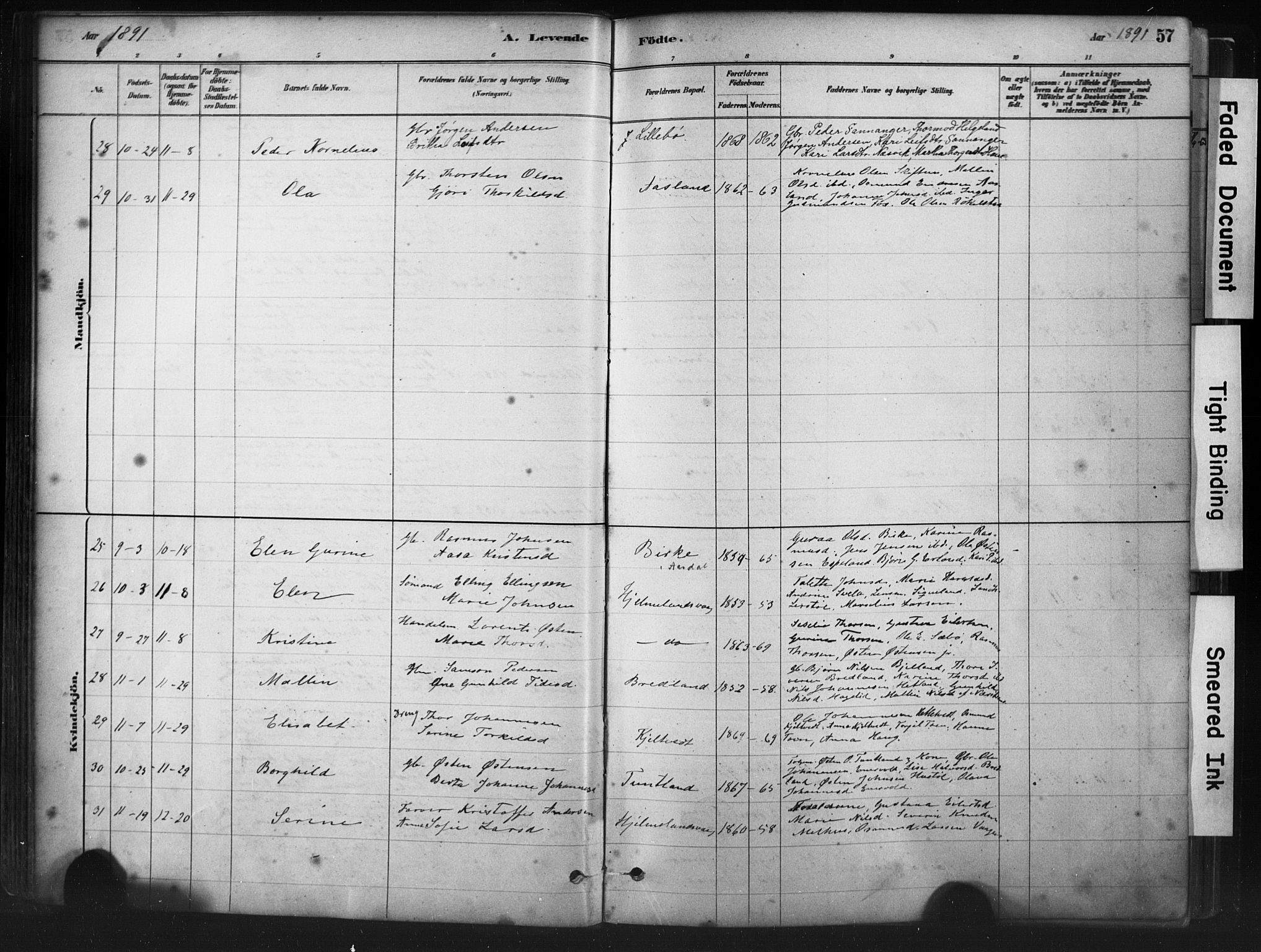 Hjelmeland sokneprestkontor, AV/SAST-A-101843/01/IV/L0014: Parish register (official) no. A 14, 1879-1900, p. 57