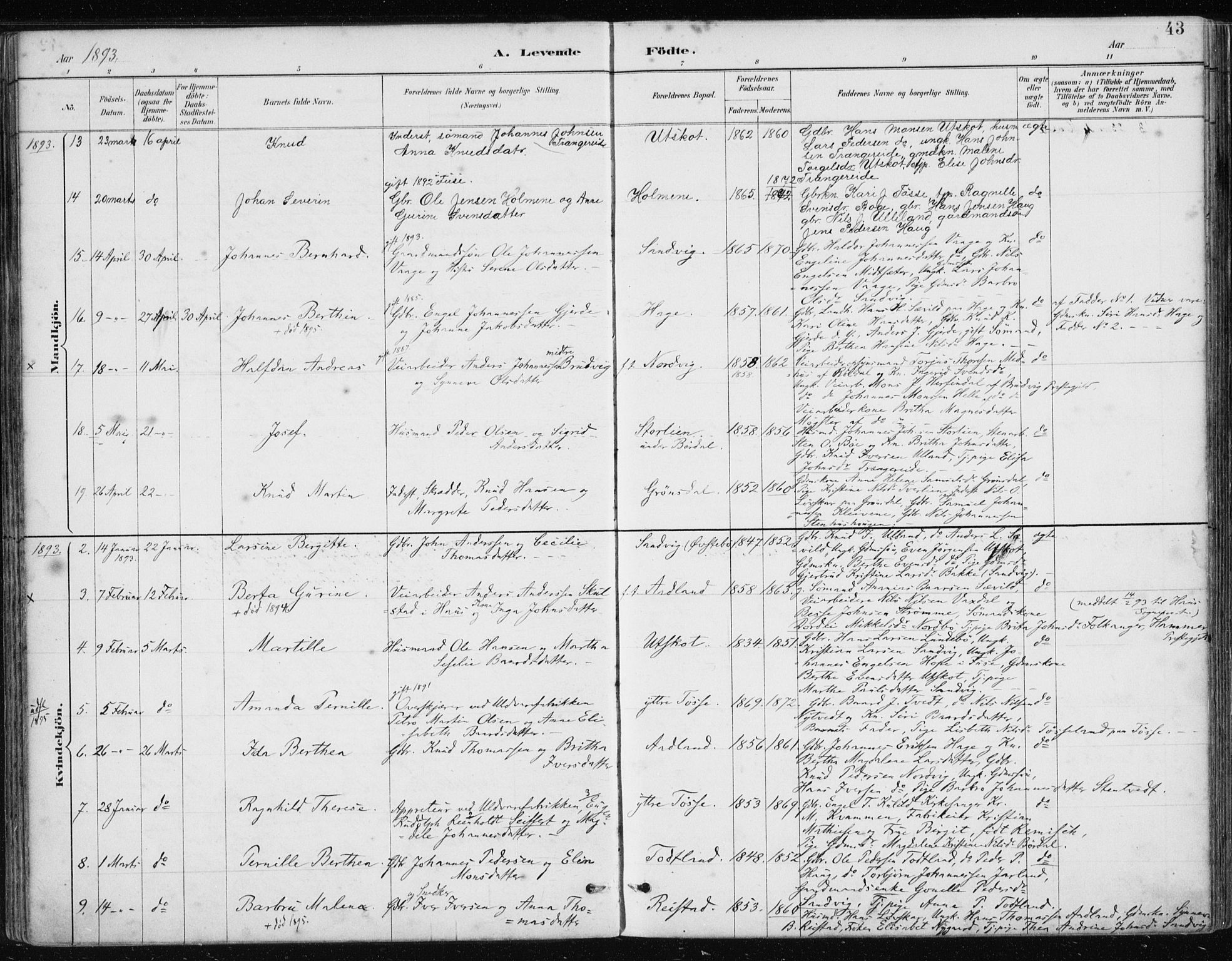 Samnanger Sokneprestembete, AV/SAB-A-77501/H/Haa: Parish register (official) no. A 1, 1885-1901, p. 43