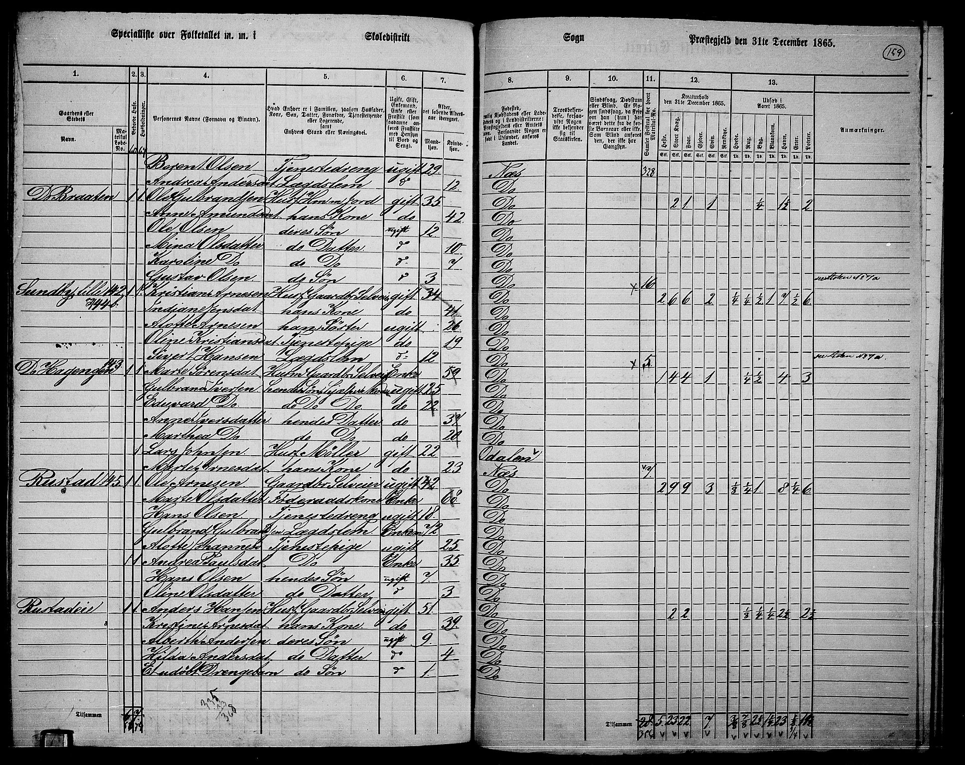 RA, 1865 census for Nes, 1865, p. 145