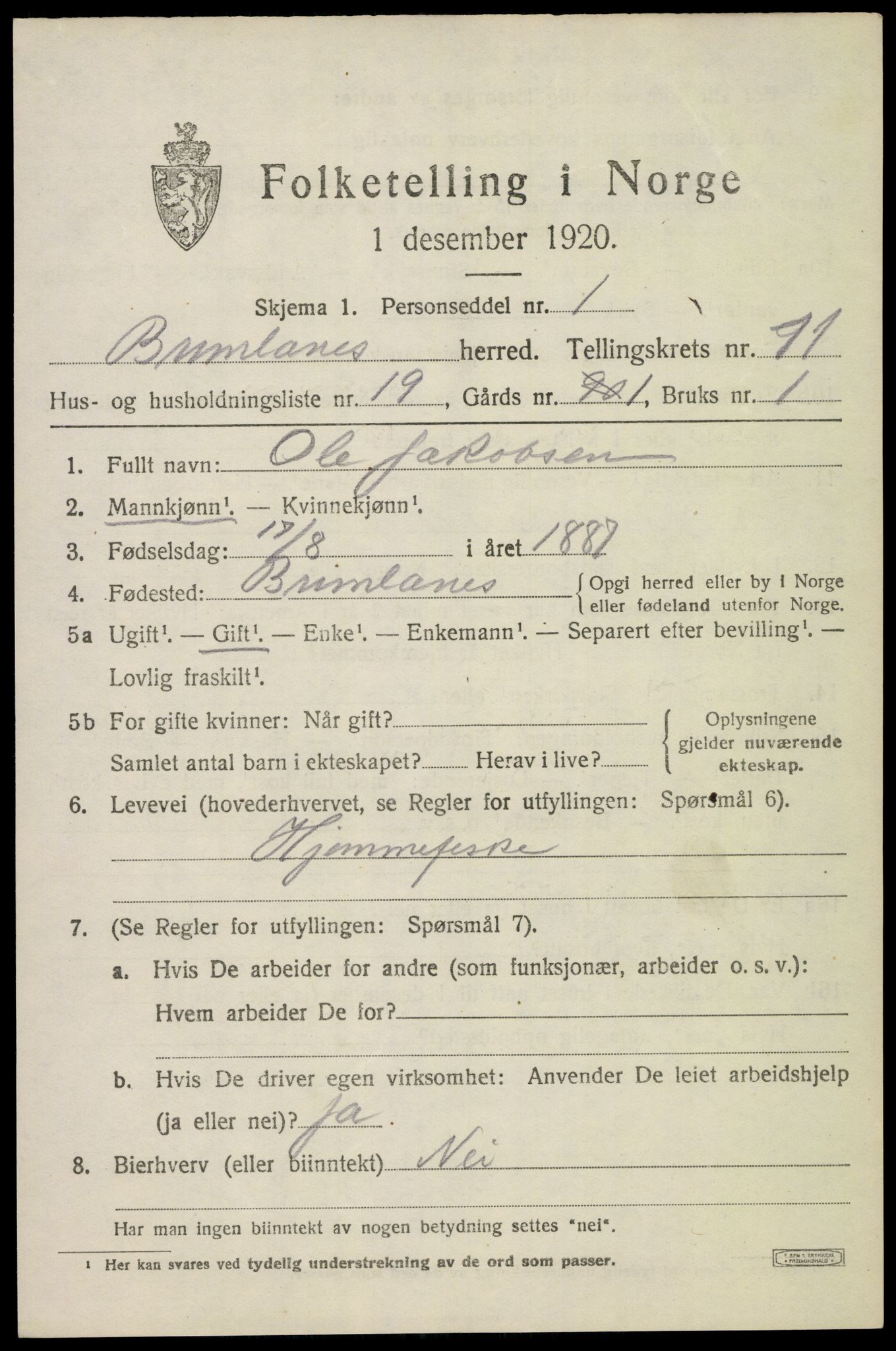 SAKO, 1920 census for Brunlanes, 1920, p. 9743