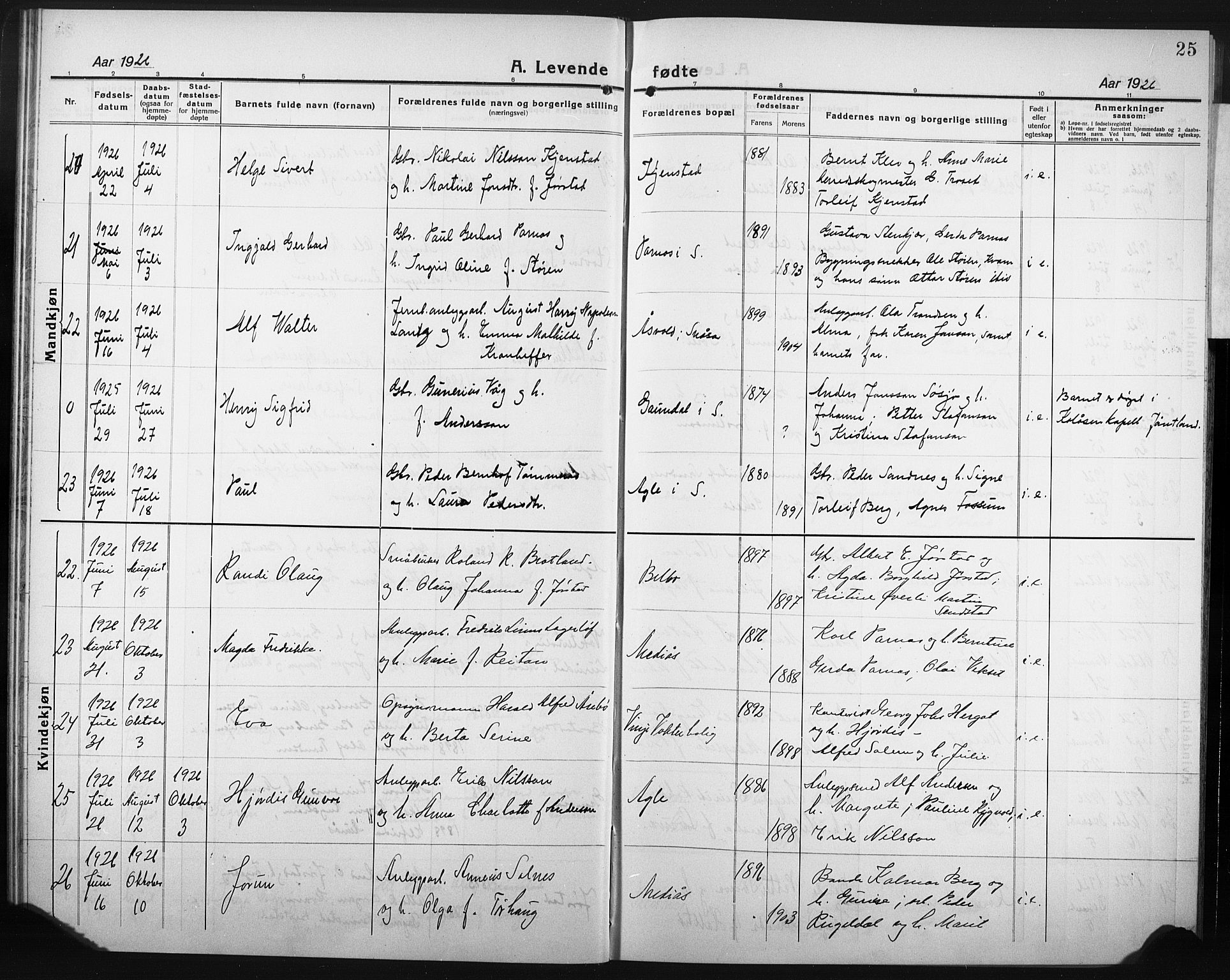 Ministerialprotokoller, klokkerbøker og fødselsregistre - Nord-Trøndelag, AV/SAT-A-1458/749/L0480: Parish register (copy) no. 749C02, 1924-1932, p. 25