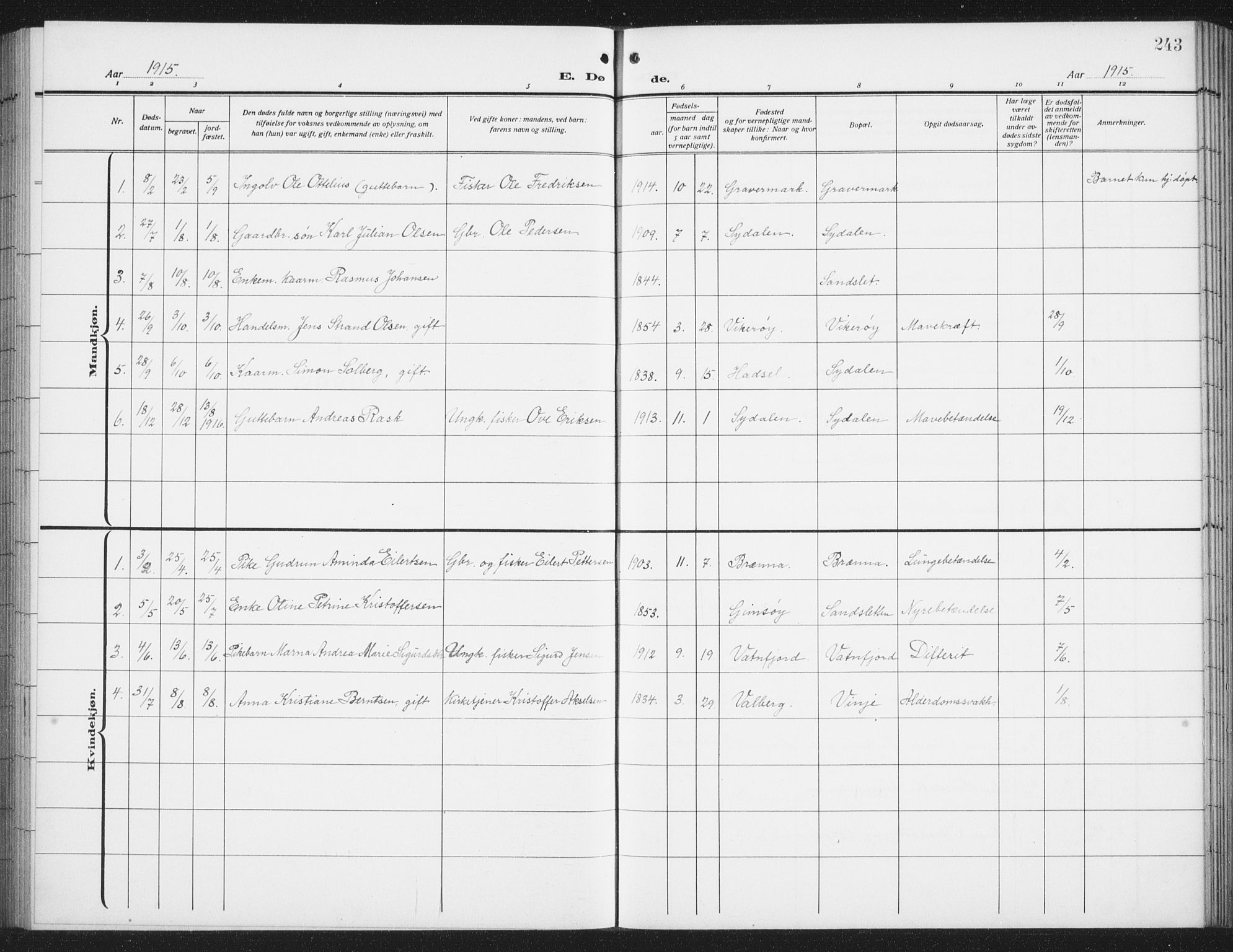 Ministerialprotokoller, klokkerbøker og fødselsregistre - Nordland, SAT/A-1459/876/L1106: Parish register (copy) no. 876C05, 1915-1942, p. 243