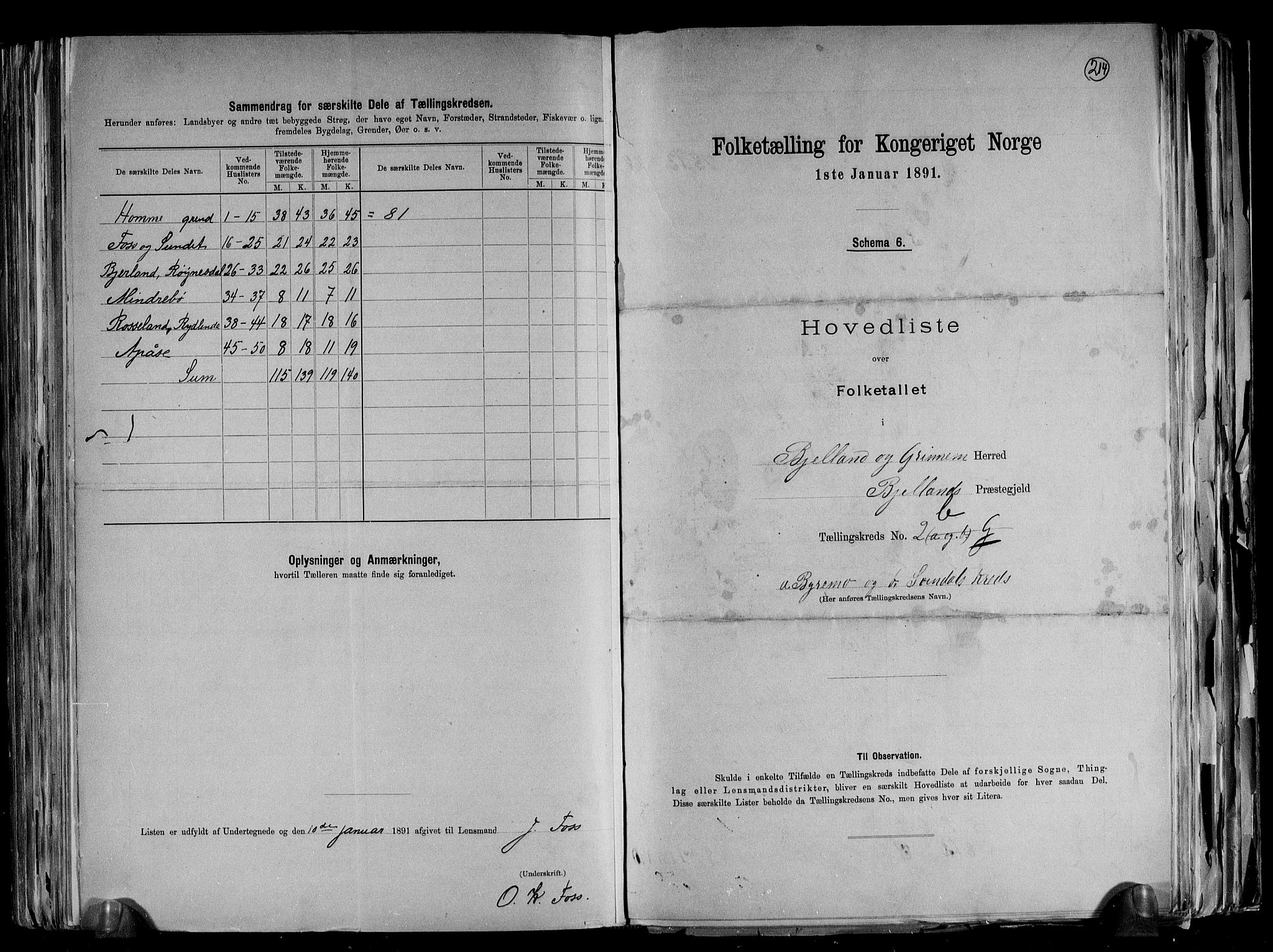 RA, 1891 census for 1024 Bjelland og Grindheim, 1891, p. 12