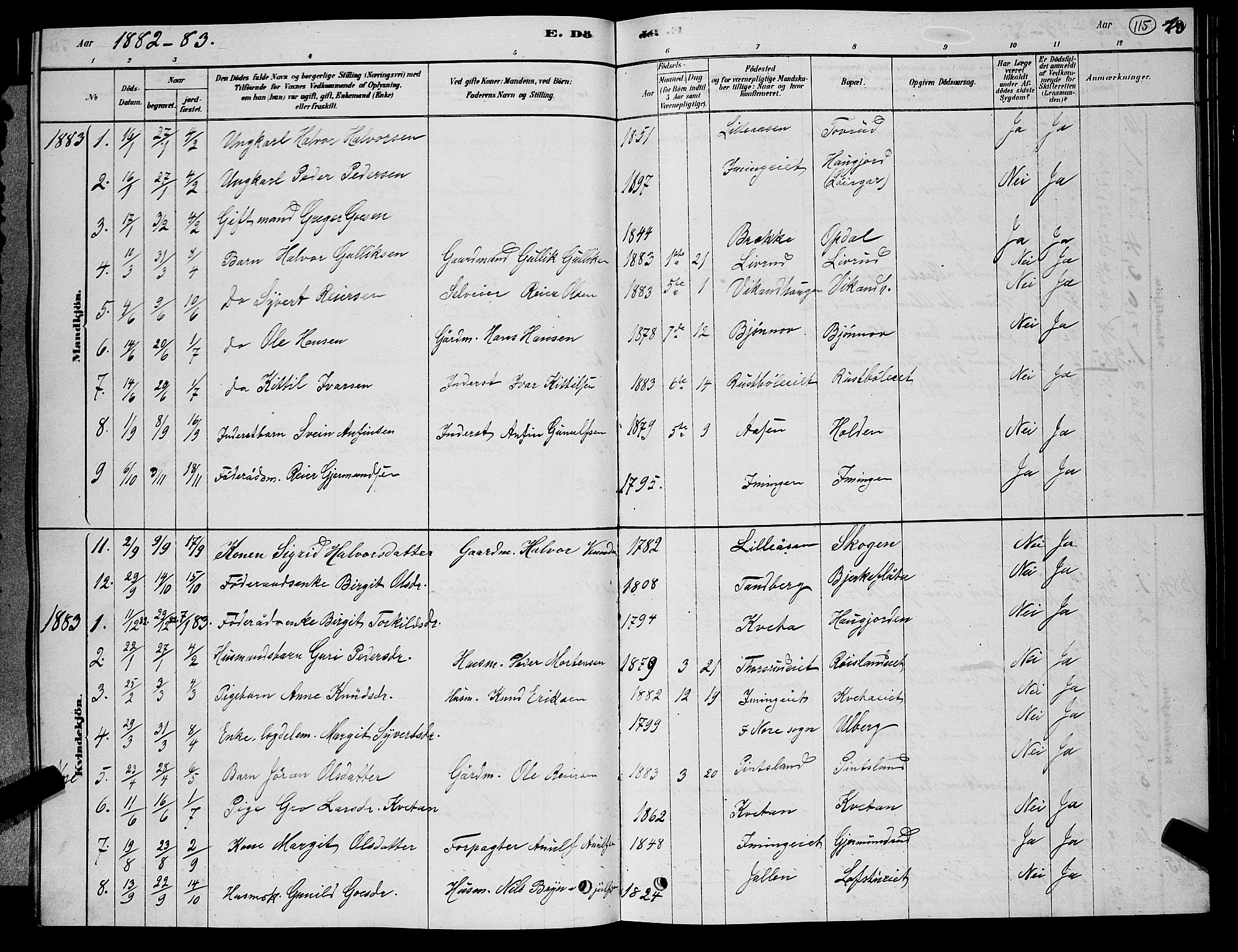 Nore kirkebøker, AV/SAKO-A-238/G/Gb/L0002: Parish register (copy) no. II 2, 1878-1894, p. 115
