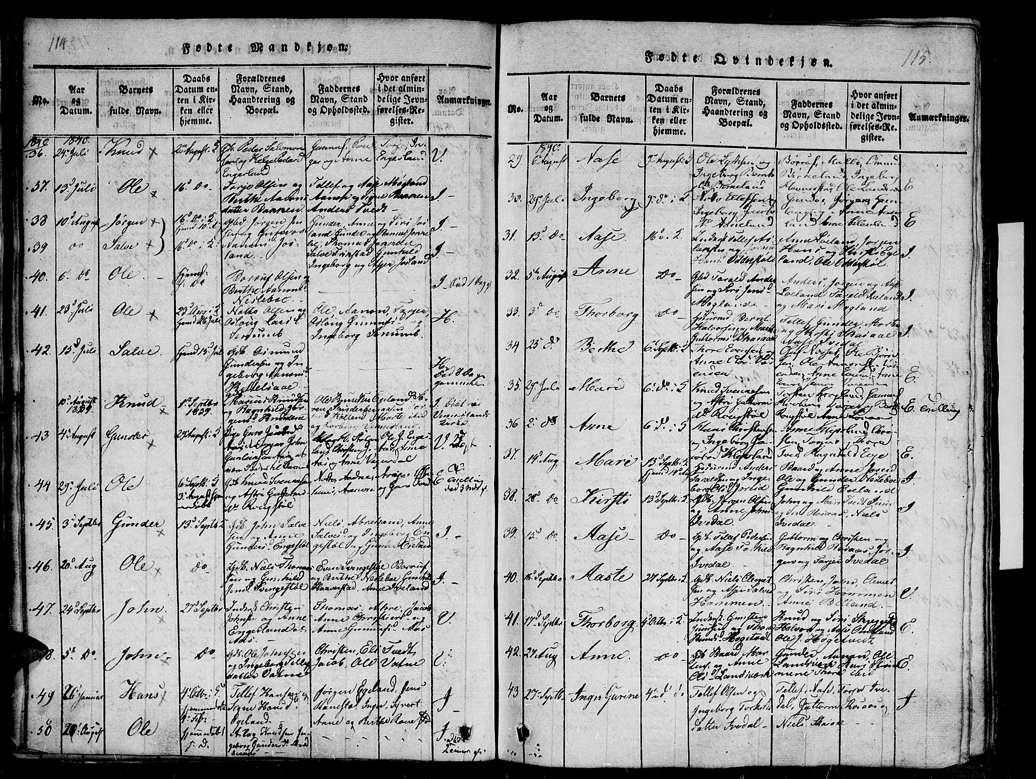 Evje sokneprestkontor, AV/SAK-1111-0008/F/Fb/Fba/L0001: Parish register (copy) no. B 1, 1816-1842, p. 114-115