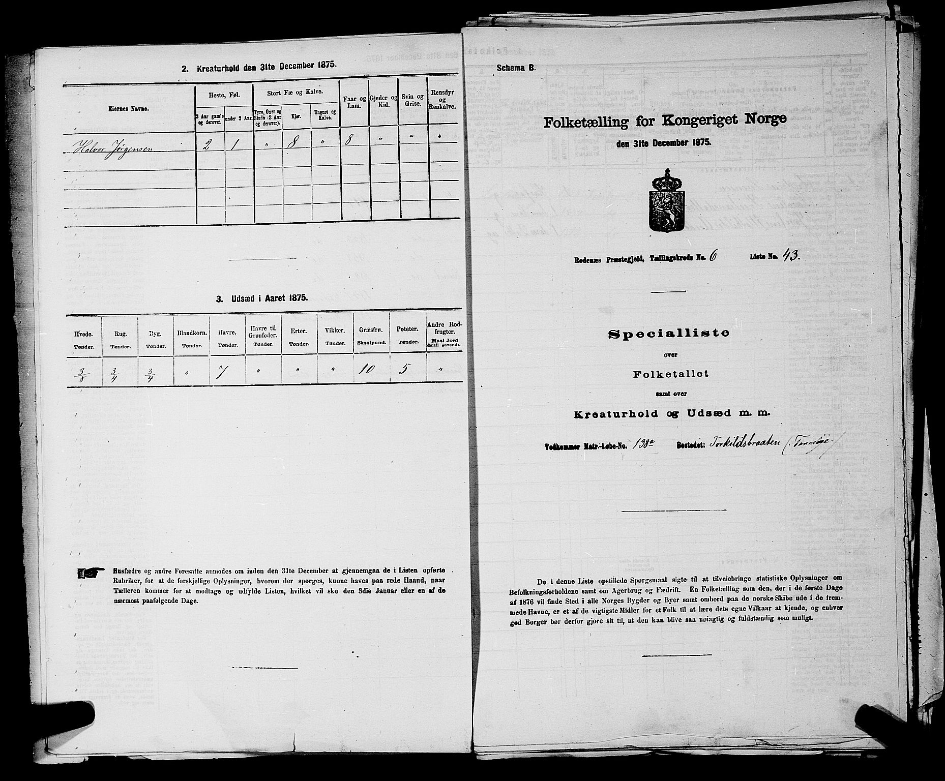 RA, 1875 census for 0120P Rødenes, 1875, p. 804