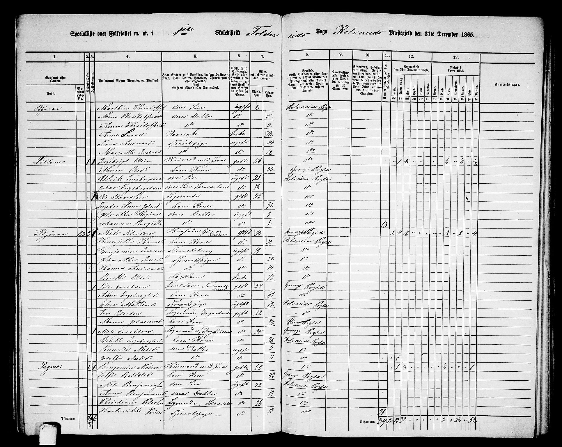 RA, 1865 census for Kolvereid, 1865, p. 21