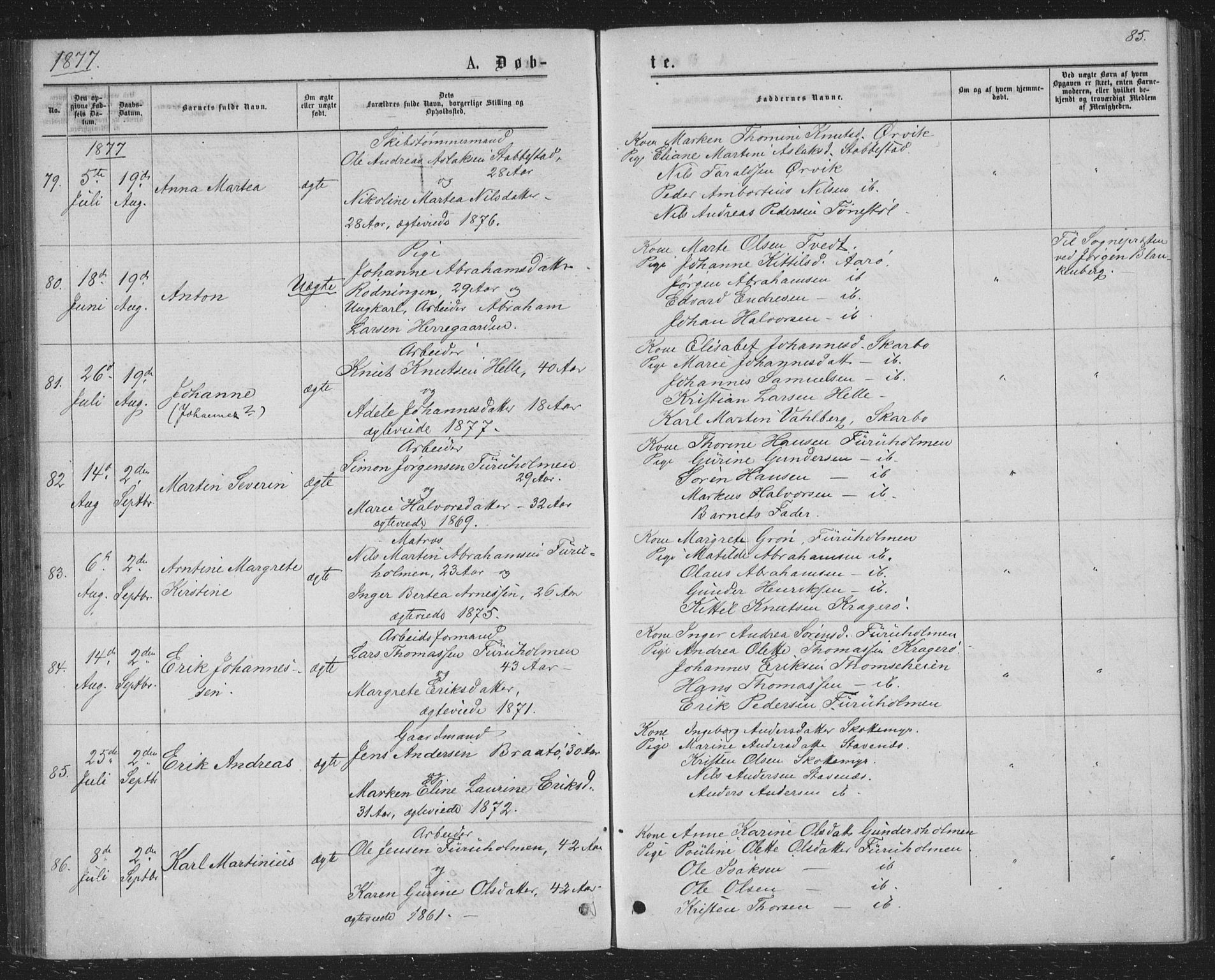 Skåtøy kirkebøker, AV/SAKO-A-304/G/Ga/L0002: Parish register (copy) no. I 2, 1872-1884, p. 85