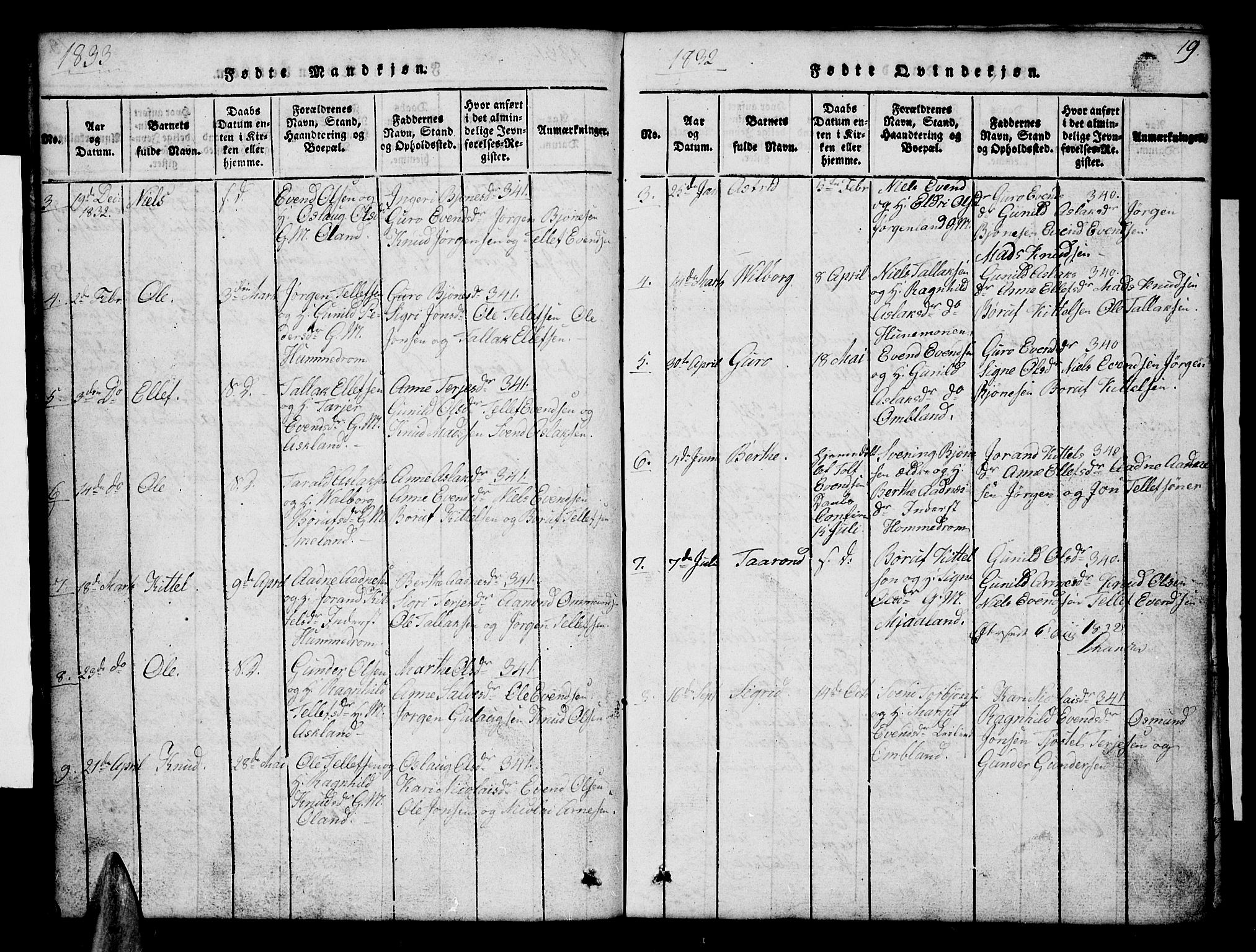 Åmli sokneprestkontor, AV/SAK-1111-0050/F/Fb/Fba/L0001: Parish register (copy) no. B 1, 1816-1890, p. 19