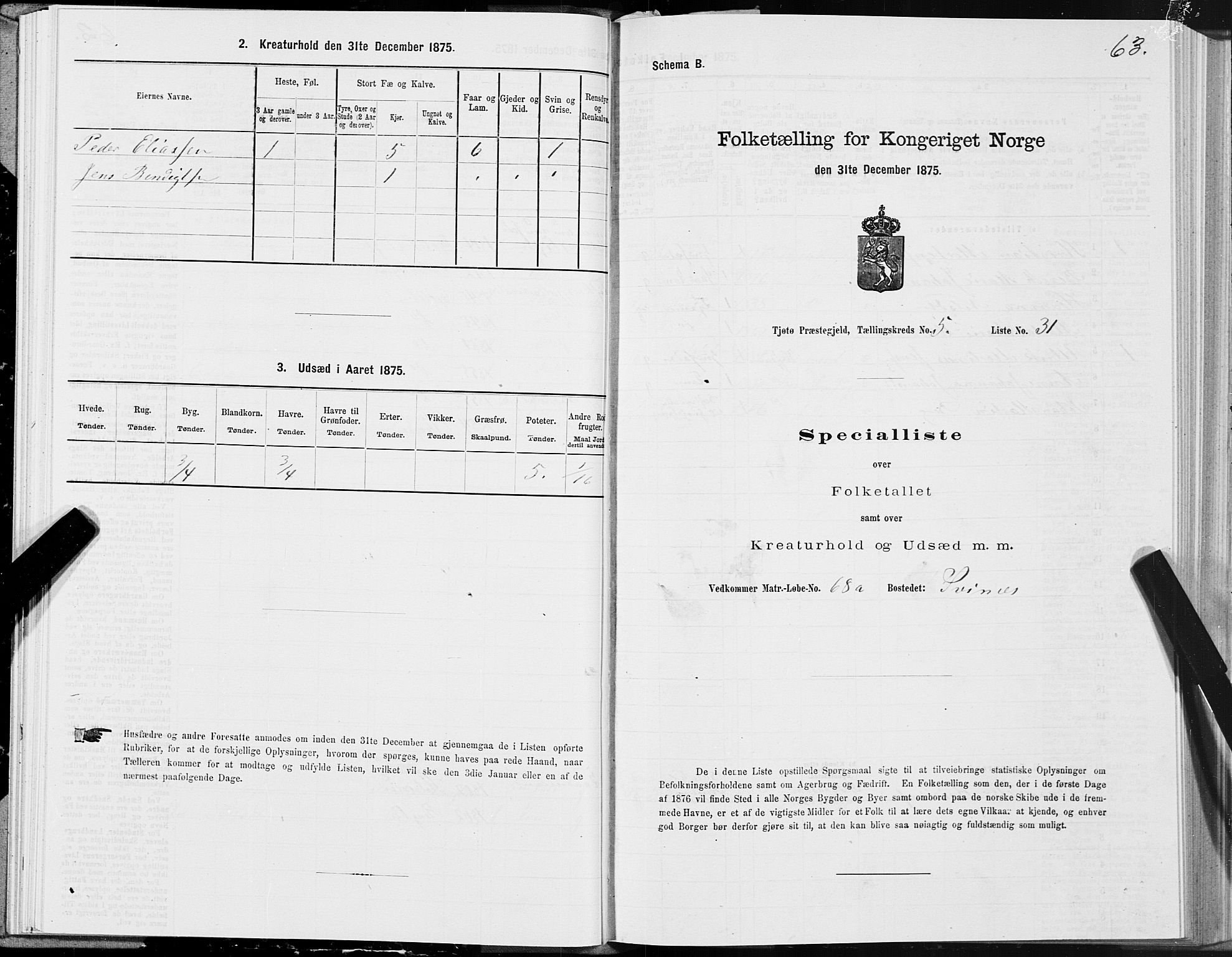 SAT, 1875 census for 1817P Tjøtta, 1875, p. 3063