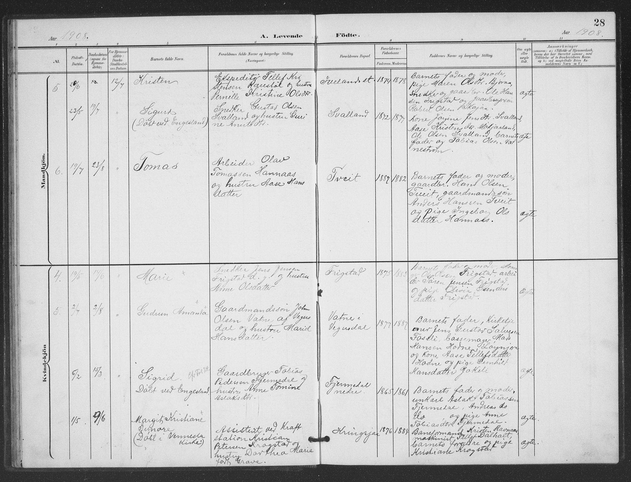 Evje sokneprestkontor, AV/SAK-1111-0008/F/Fb/Fbc/L0005: Parish register (copy) no. B 5, 1901-1935, p. 28