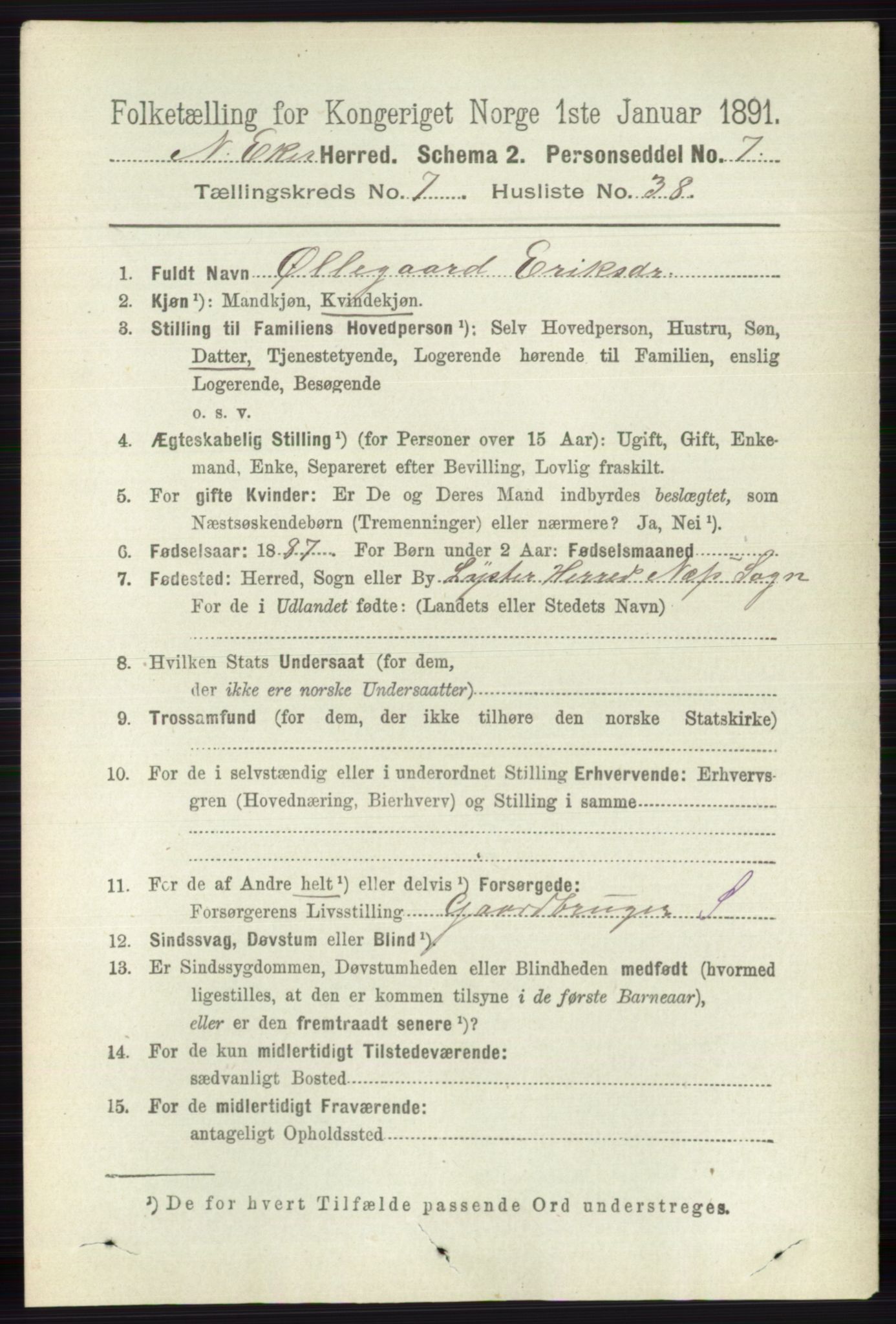 RA, 1891 census for 0625 Nedre Eiker, 1891, p. 3632
