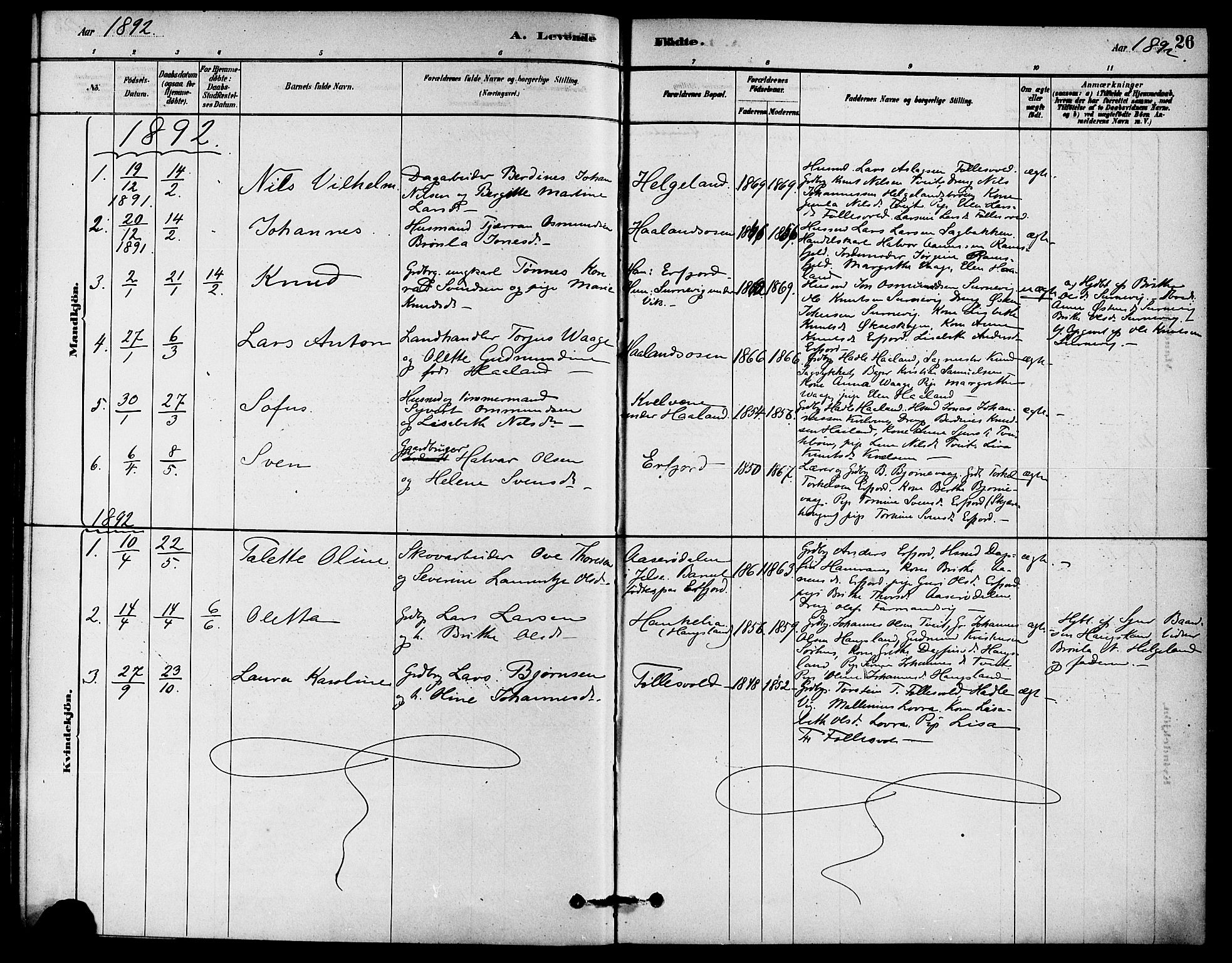 Jelsa sokneprestkontor, AV/SAST-A-101842/01/IV: Parish register (official) no. A 9, 1878-1898, p. 26