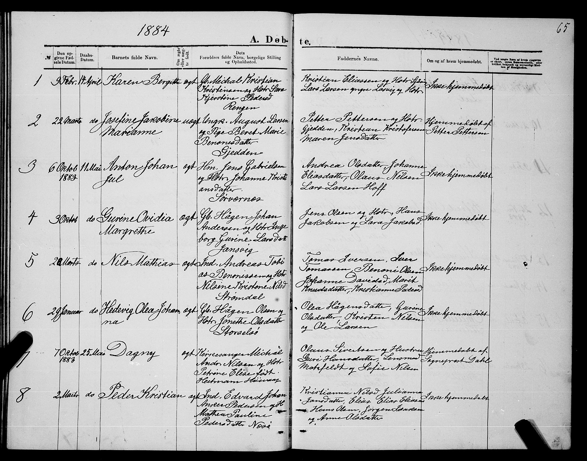 Ministerialprotokoller, klokkerbøker og fødselsregistre - Nordland, SAT/A-1459/841/L0620: Parish register (copy) no. 841C04, 1877-1896, p. 65