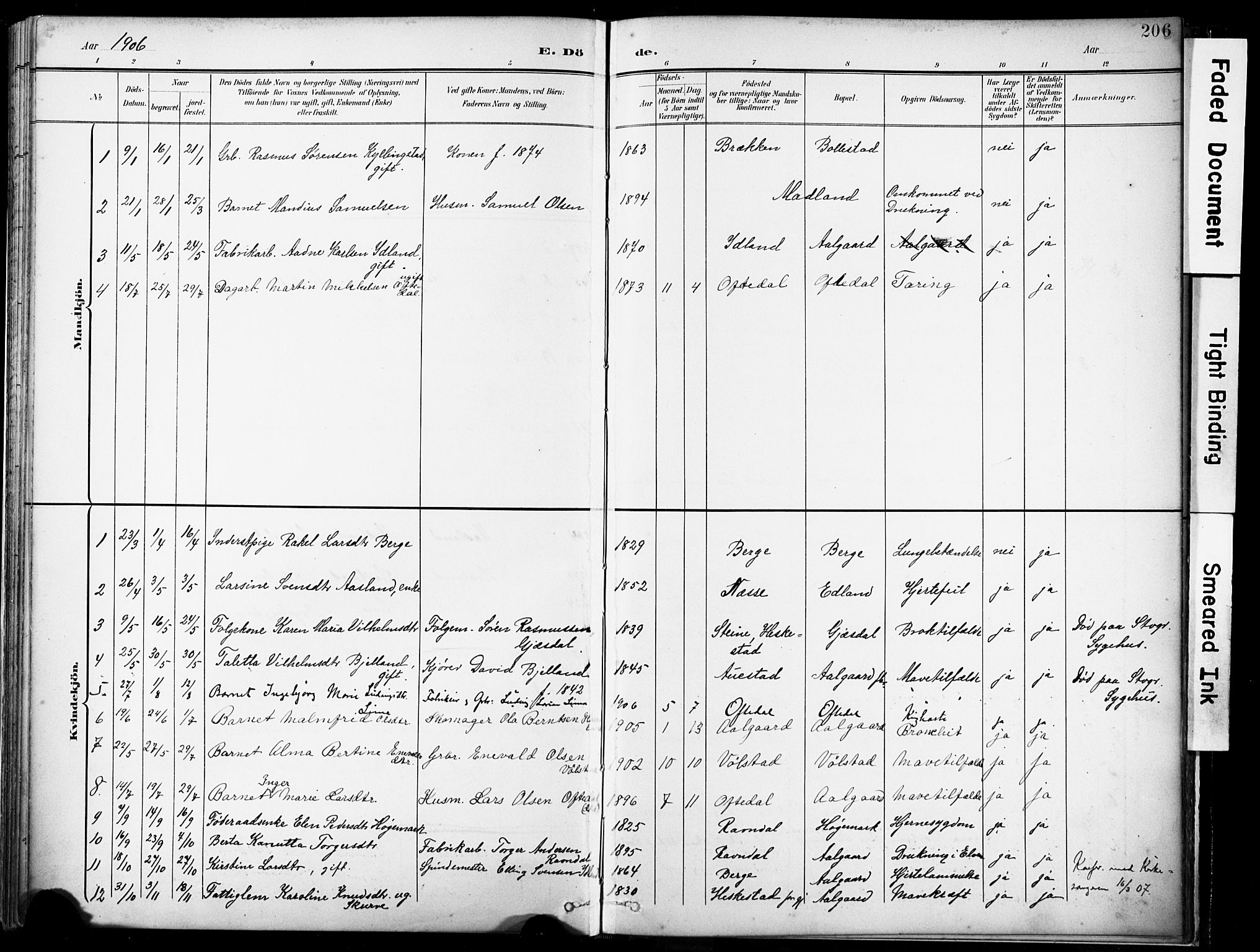 Lye sokneprestkontor, SAST/A-101794/001/30BA/L0012: Parish register (official) no. A 11, 1896-1909, p. 206