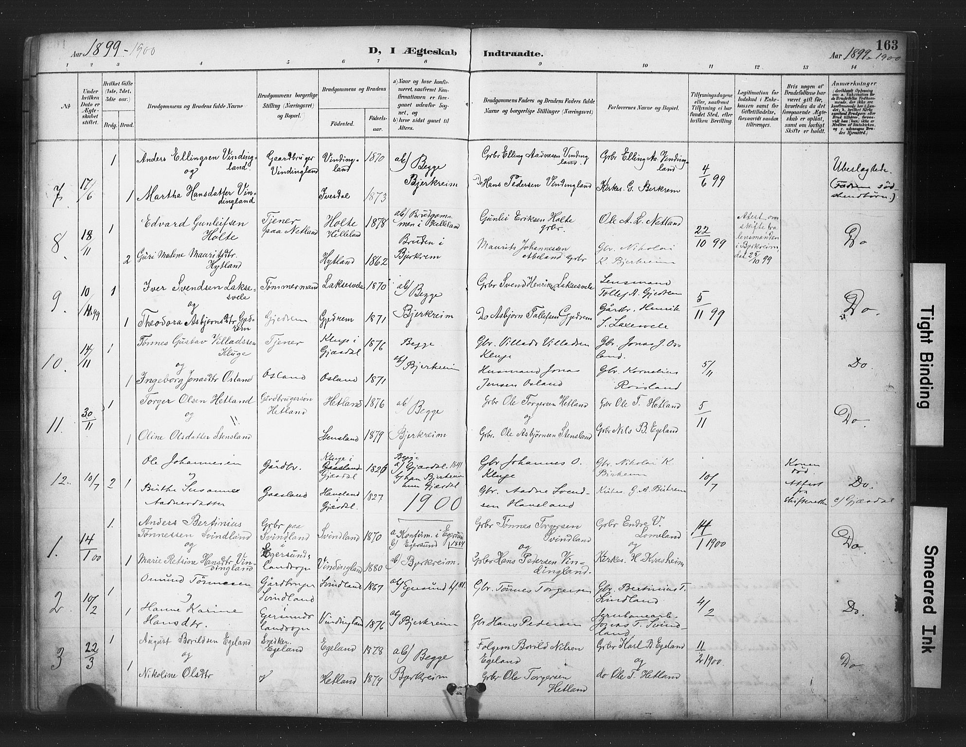 Helleland sokneprestkontor, AV/SAST-A-101810: Parish register (copy) no. B 5, 1887-1908, p. 163
