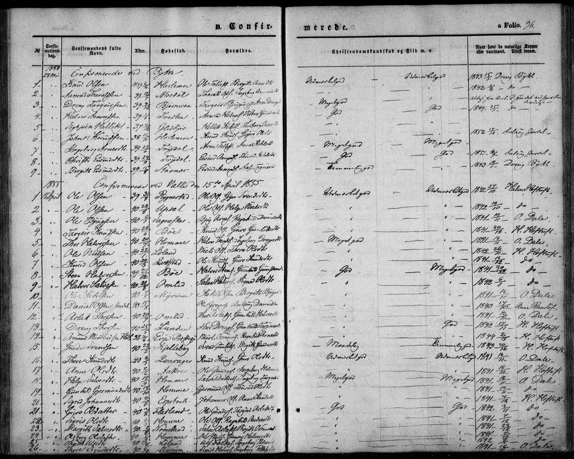 Valle sokneprestkontor, SAK/1111-0044/F/Fa/Fac/L0007: Parish register (official) no. A 7, 1854-1868, p. 96