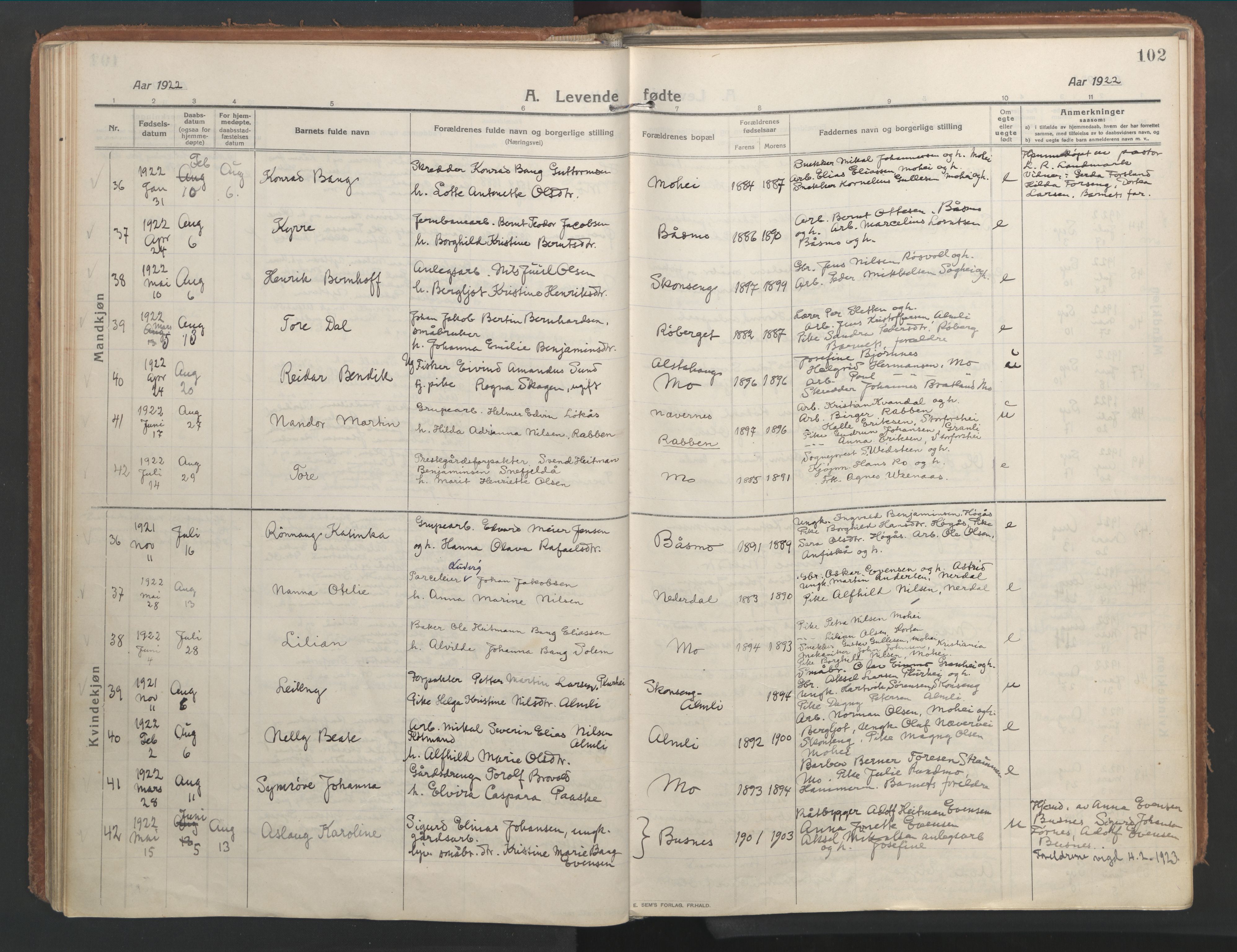 Ministerialprotokoller, klokkerbøker og fødselsregistre - Nordland, AV/SAT-A-1459/827/L0404: Parish register (official) no. 827A16, 1912-1925, p. 102